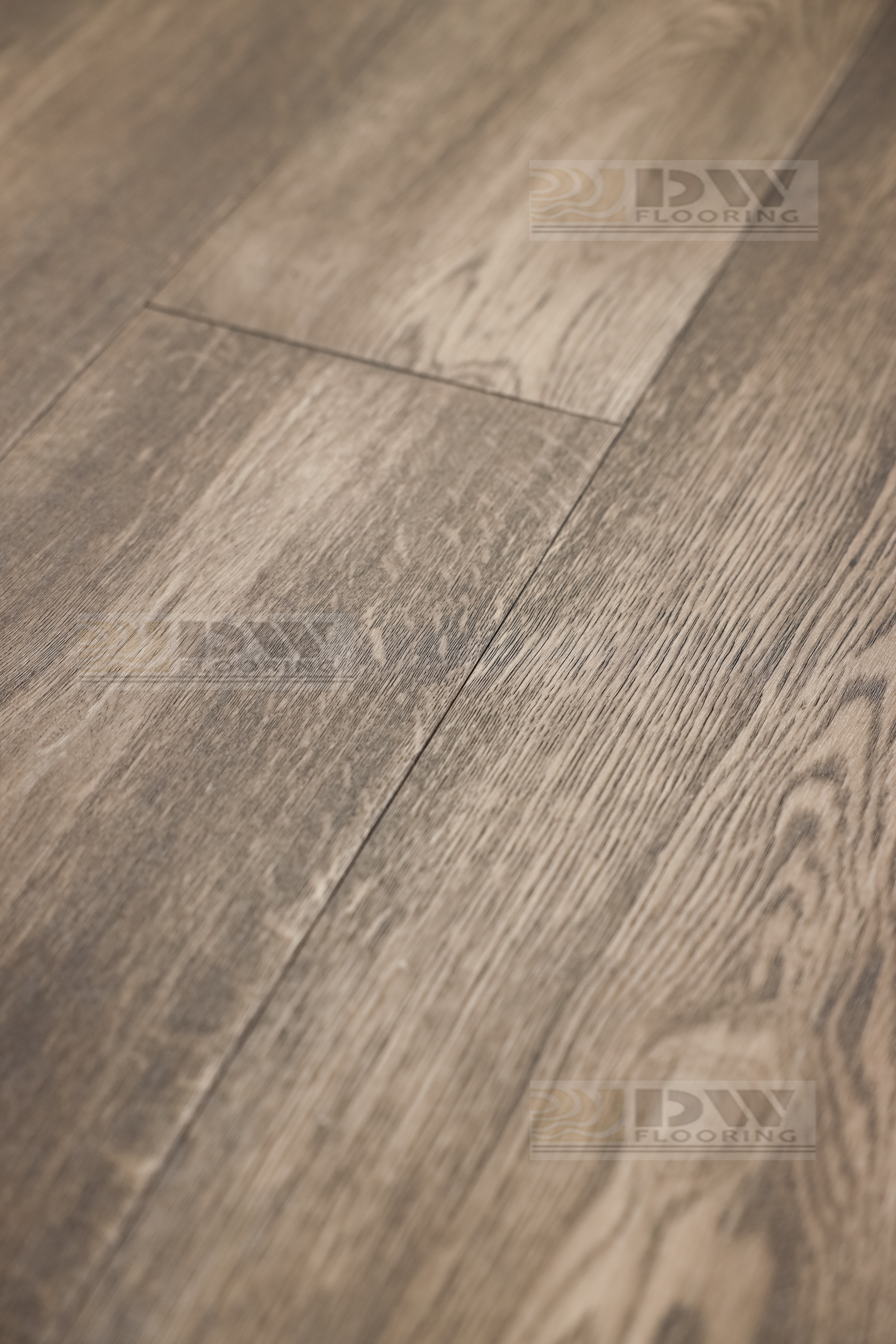 Изображение товара Инженерная доска DW Flooring дуб DW-004LX 14 мм, 23 класc, серый цвет