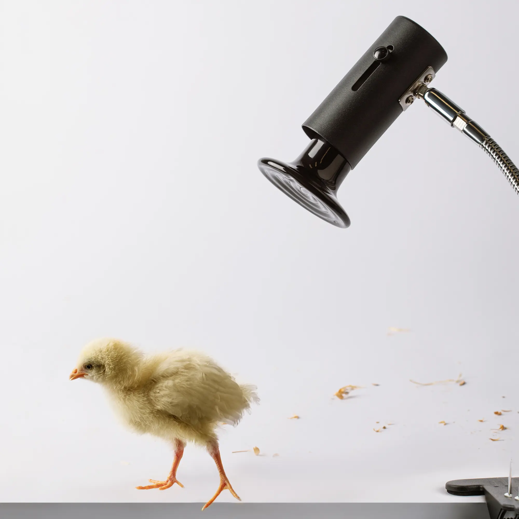 Лампа для террариума Эра e27x250w на прищепке