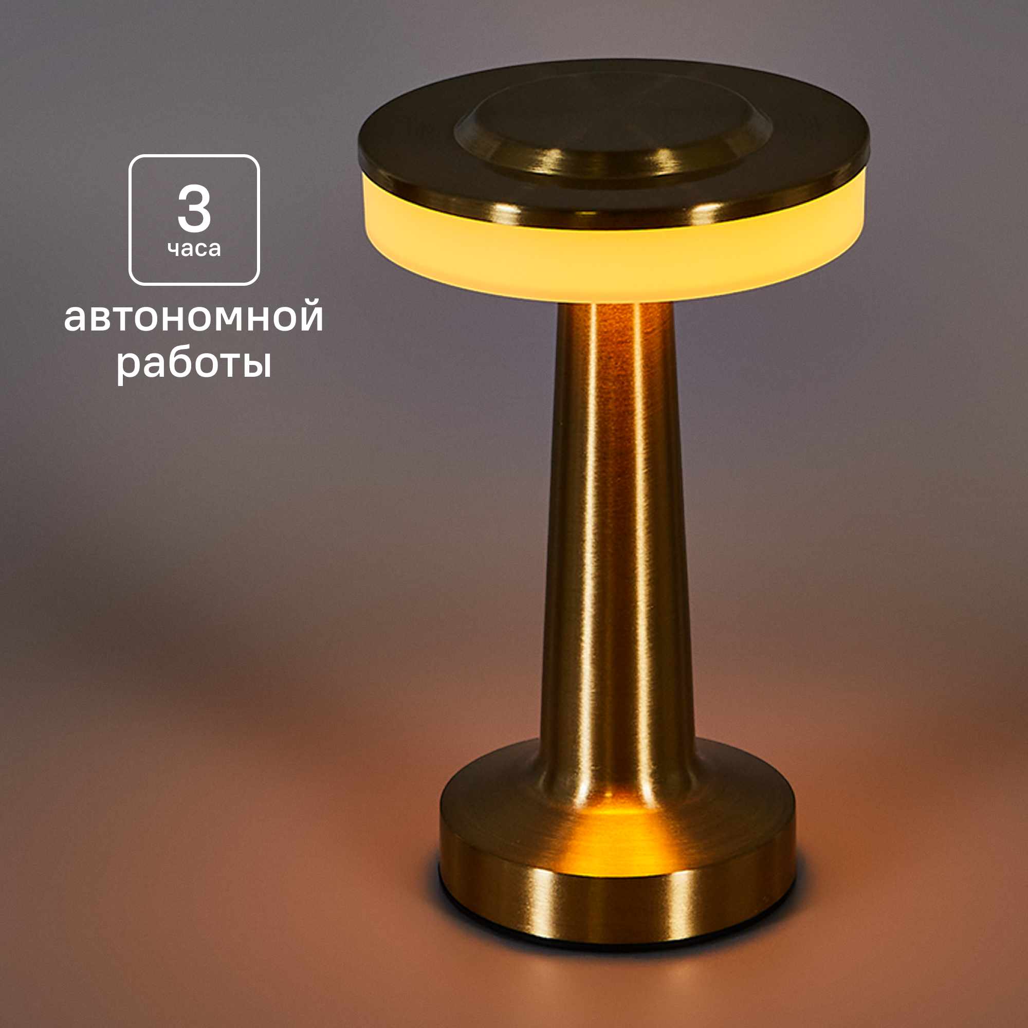 Изображение товара Настольная светодиодная лампа Tendenza TZ-LL012 с регулируемым светом и режимом ночника