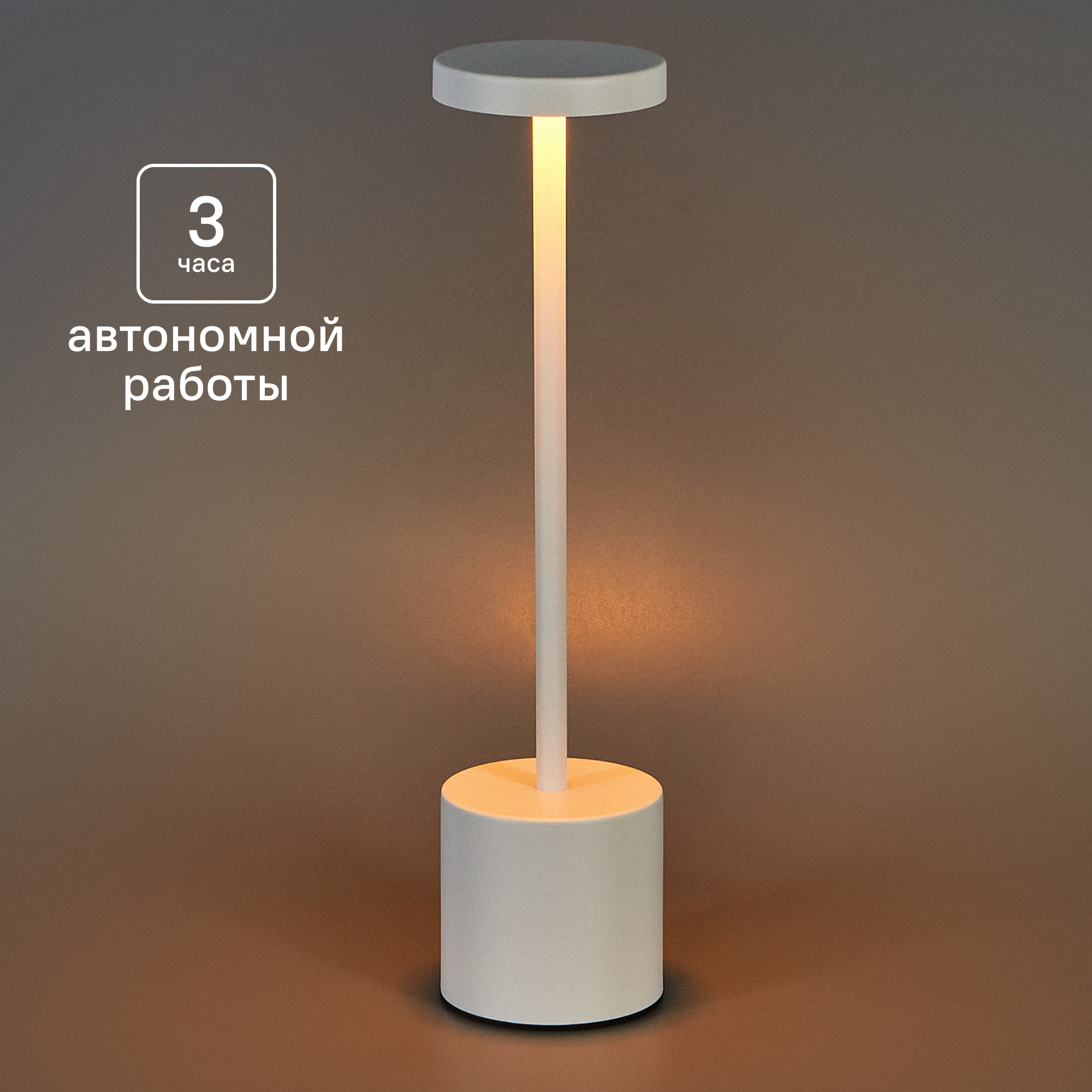 Изображение товара Современная светодиодная настольная лампа Tendenza TZ-LL014 с регулировкой яркости