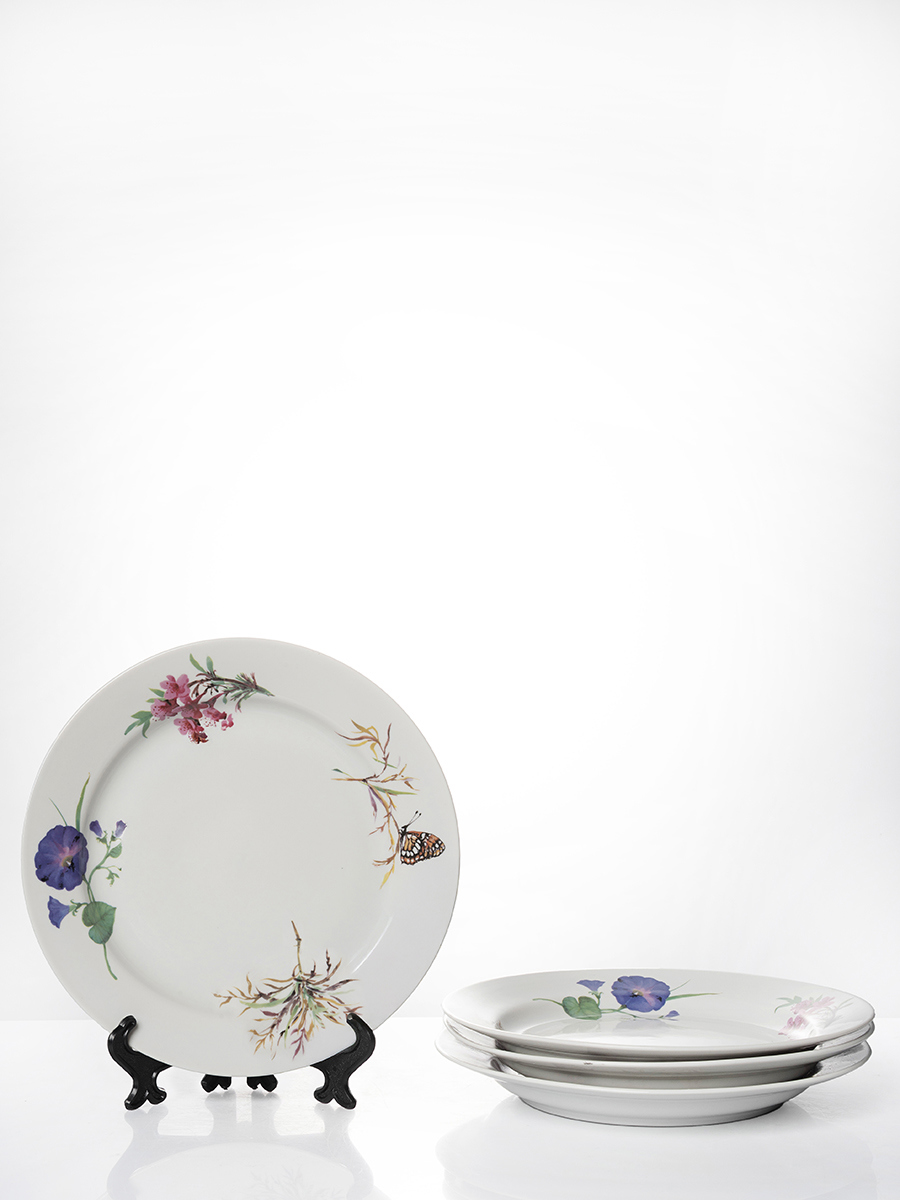 Изображение товара Набор фарфоровых тарелок 24 см Дулёвский завод, 4 шт, серия Лесные травы