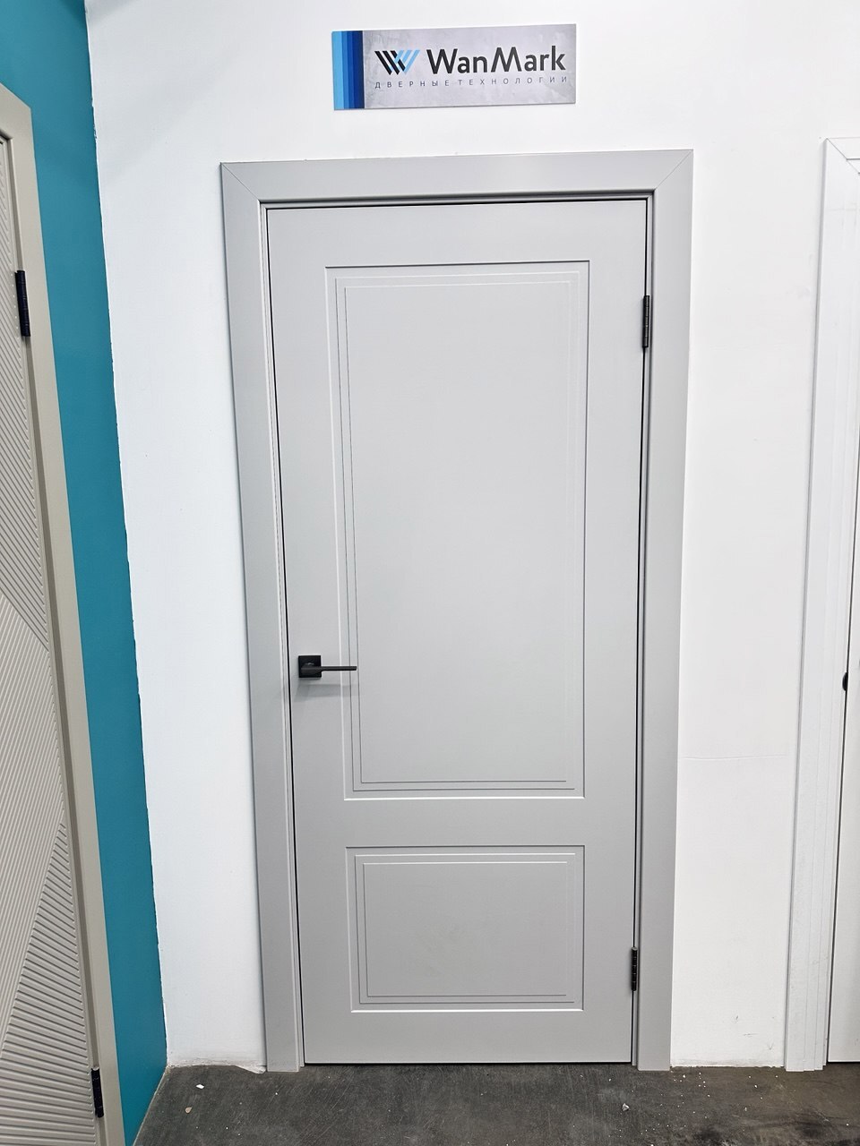 Изображение товара Wanmark Стефани-22 глухая 200x90 см, эмаль, RAL 7047