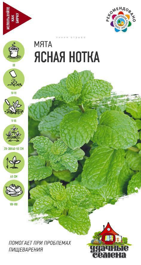 Изображение товара Семена Мята «Ясная нотка» DH, 0.05 г