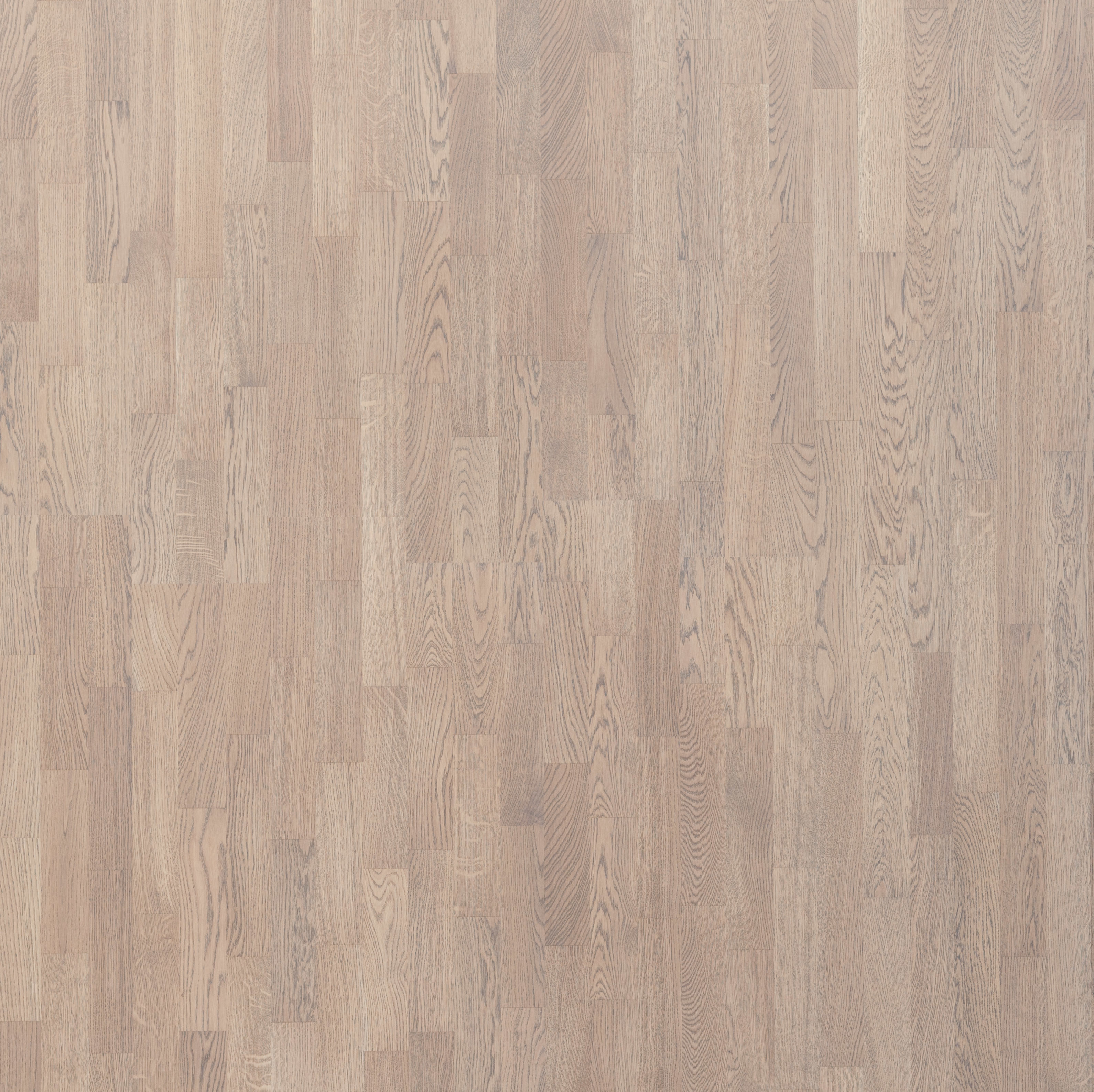 Изображение товара Инженерная паркетная доска 3х-полосная FocusFloor Дуб Velvet Oiled 14 мм