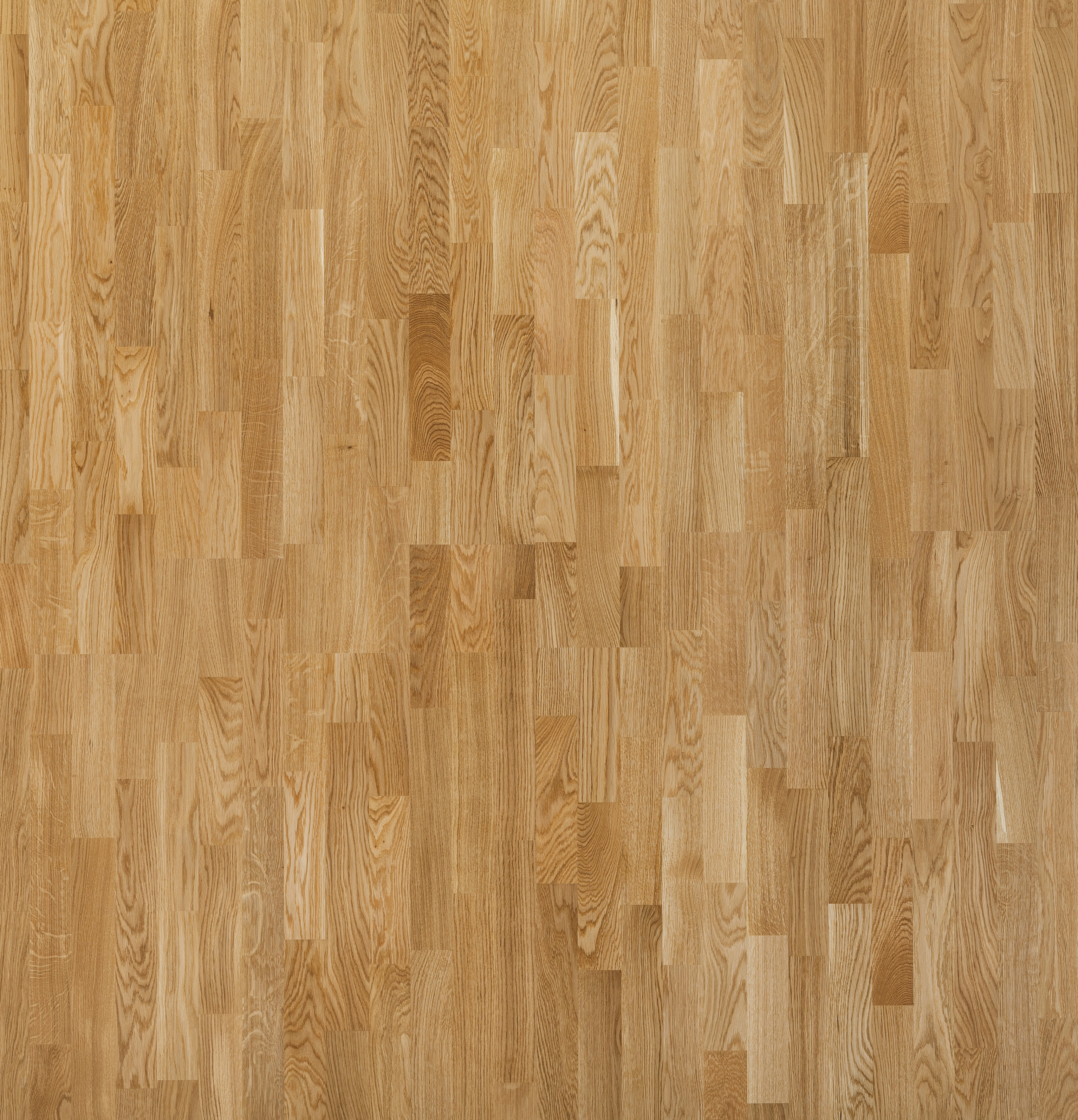 Изображение товара Инженерная паркетная доска 3х-полосная FocusFloor Дуб Charming Matt 14 мм