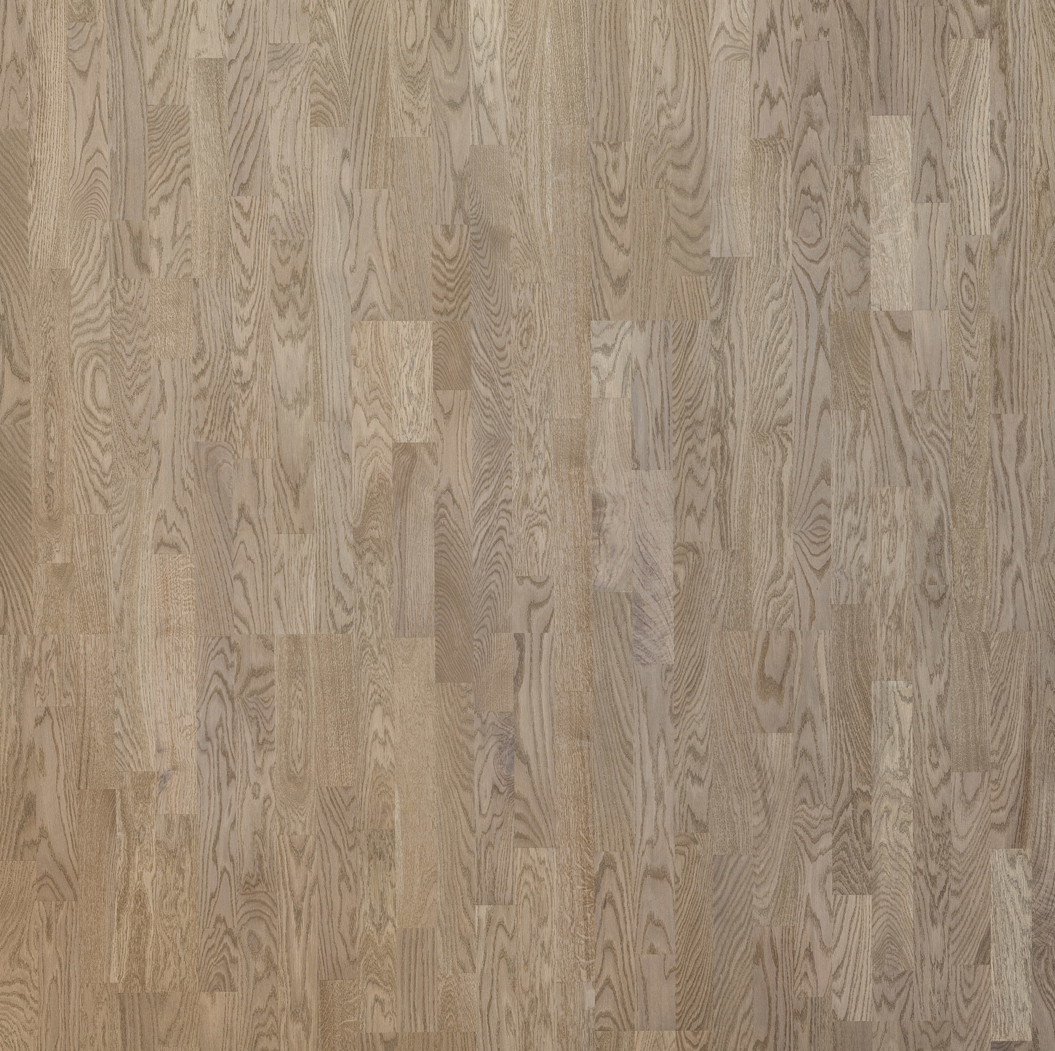 Изображение товара Инженерная паркетная доска 3х-полосная FocusFloor Дуб Rainbow 14мм