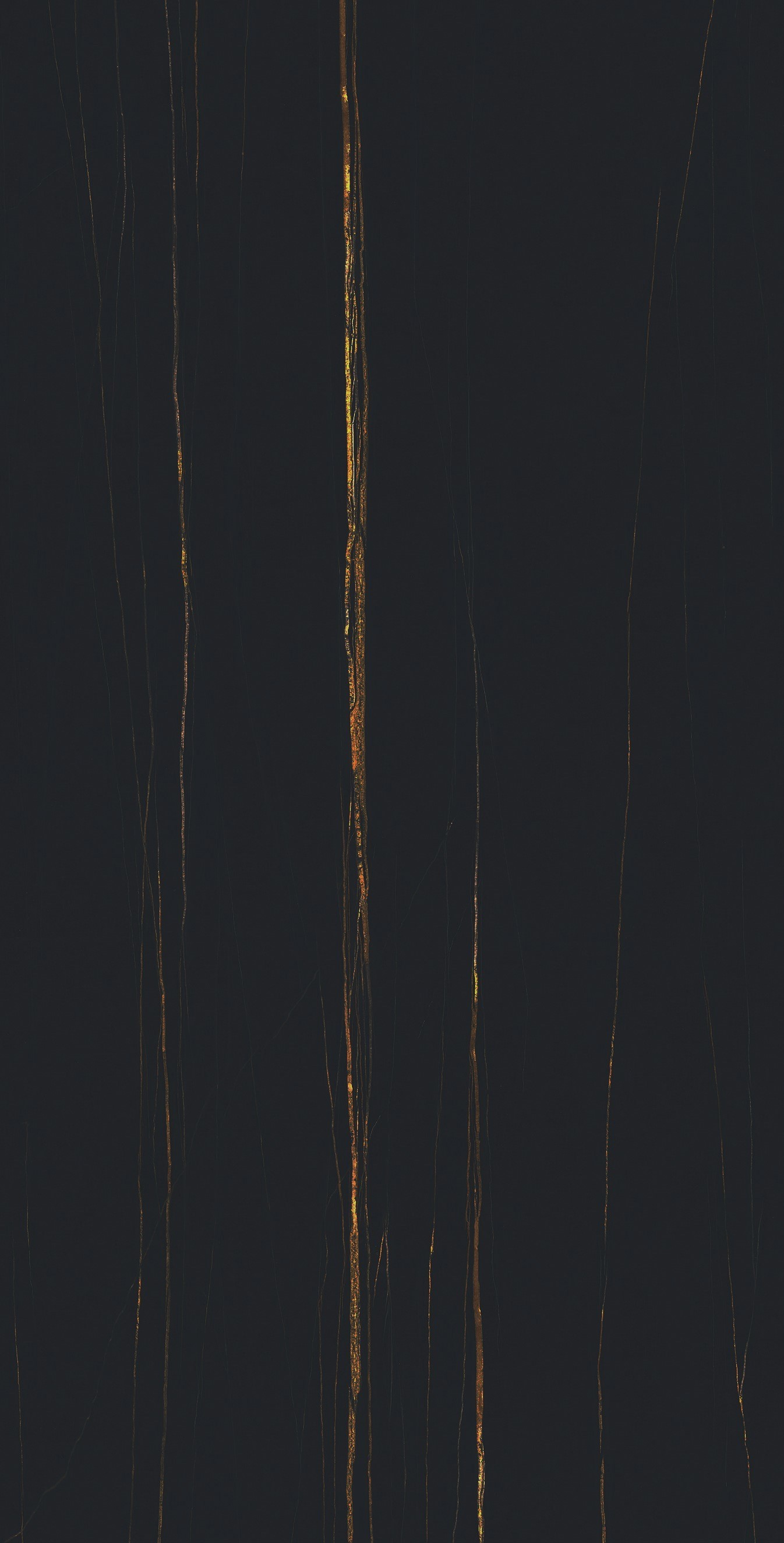 Изображение товара Керамогранит Sal sapiente Big stone BSP 126317 60x120см цвет черный, с золотой(желтой) полоской