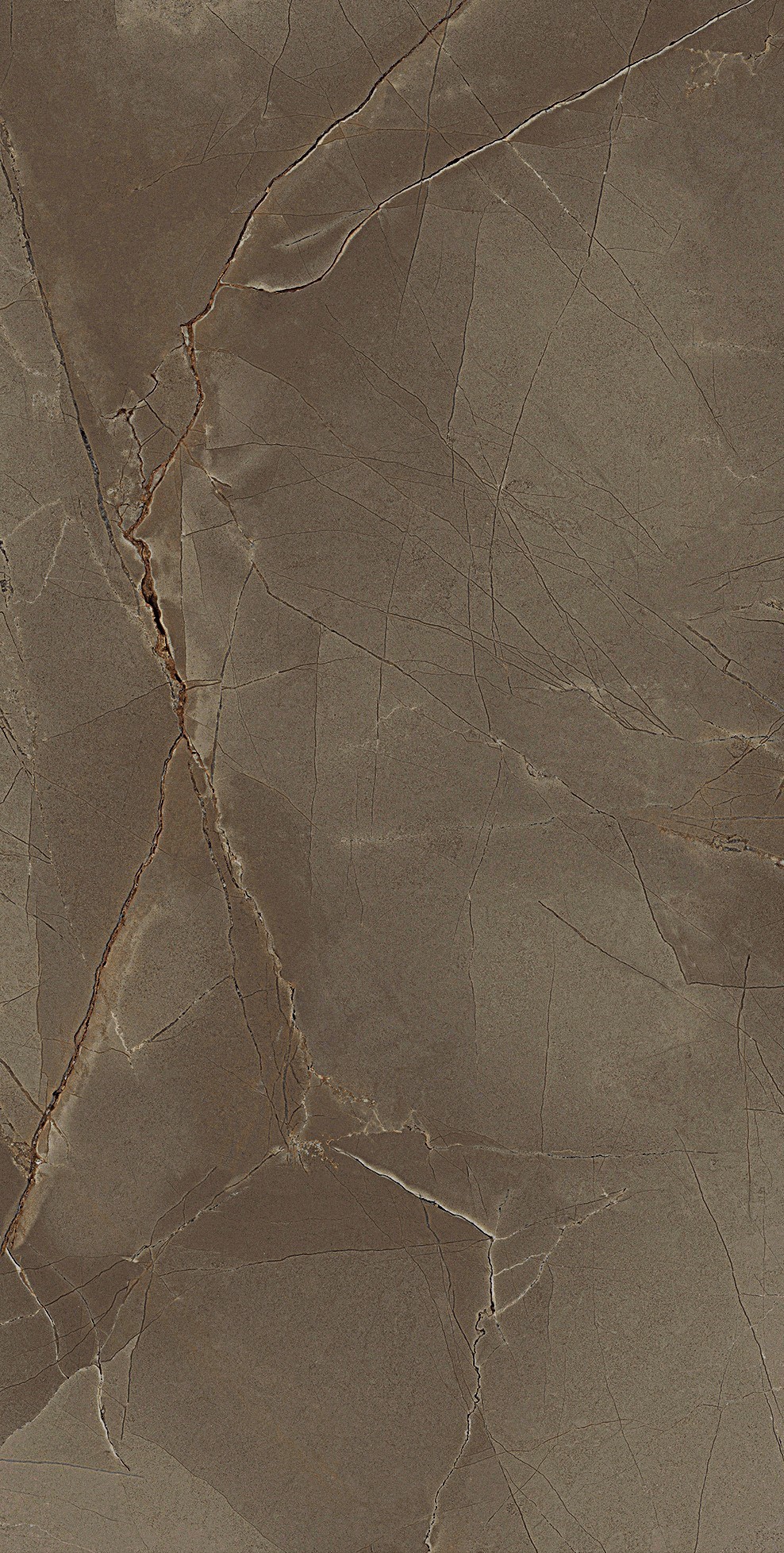 Изображение товара Керамогранит Sal sapiente Big stone BSP 126368 60x120 см кофейный мрамор