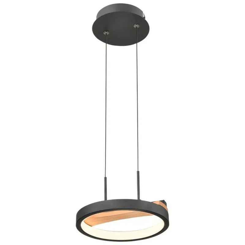 Изображение товара Подвесной LED светильник Velante 450-023-01 черный 3 м² современный дизайн