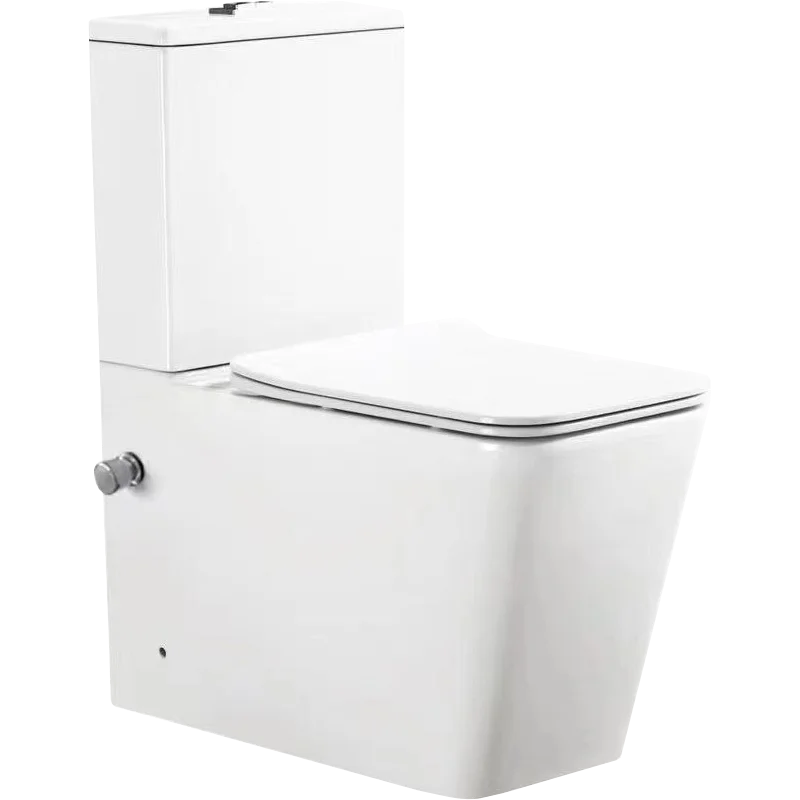 Изображение товара Унитаз-компакт SantiLine SL-5017SM-BD с функцией биде