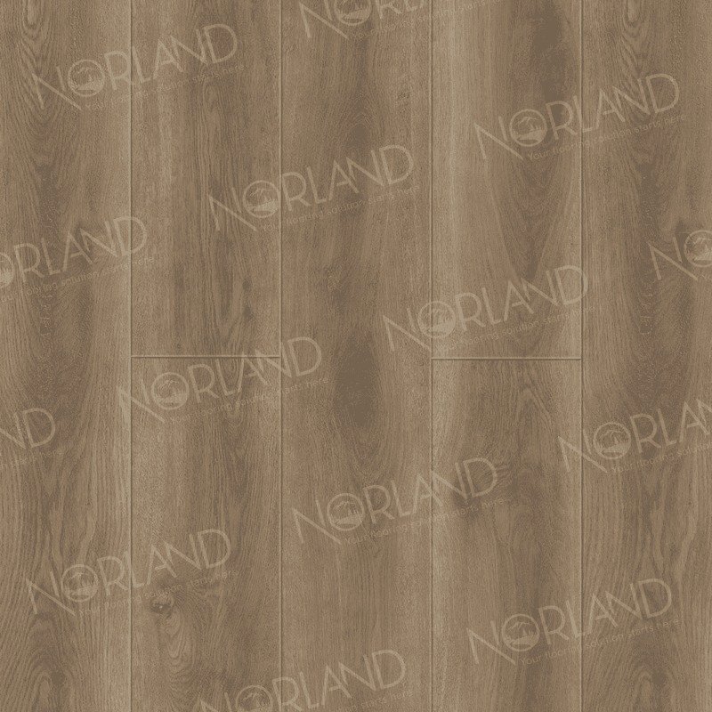Изображение товара SPC плитка Norland NeoWood Дуб Tista 43 класс толщина 8 мм1.674 м², цена за упаковку