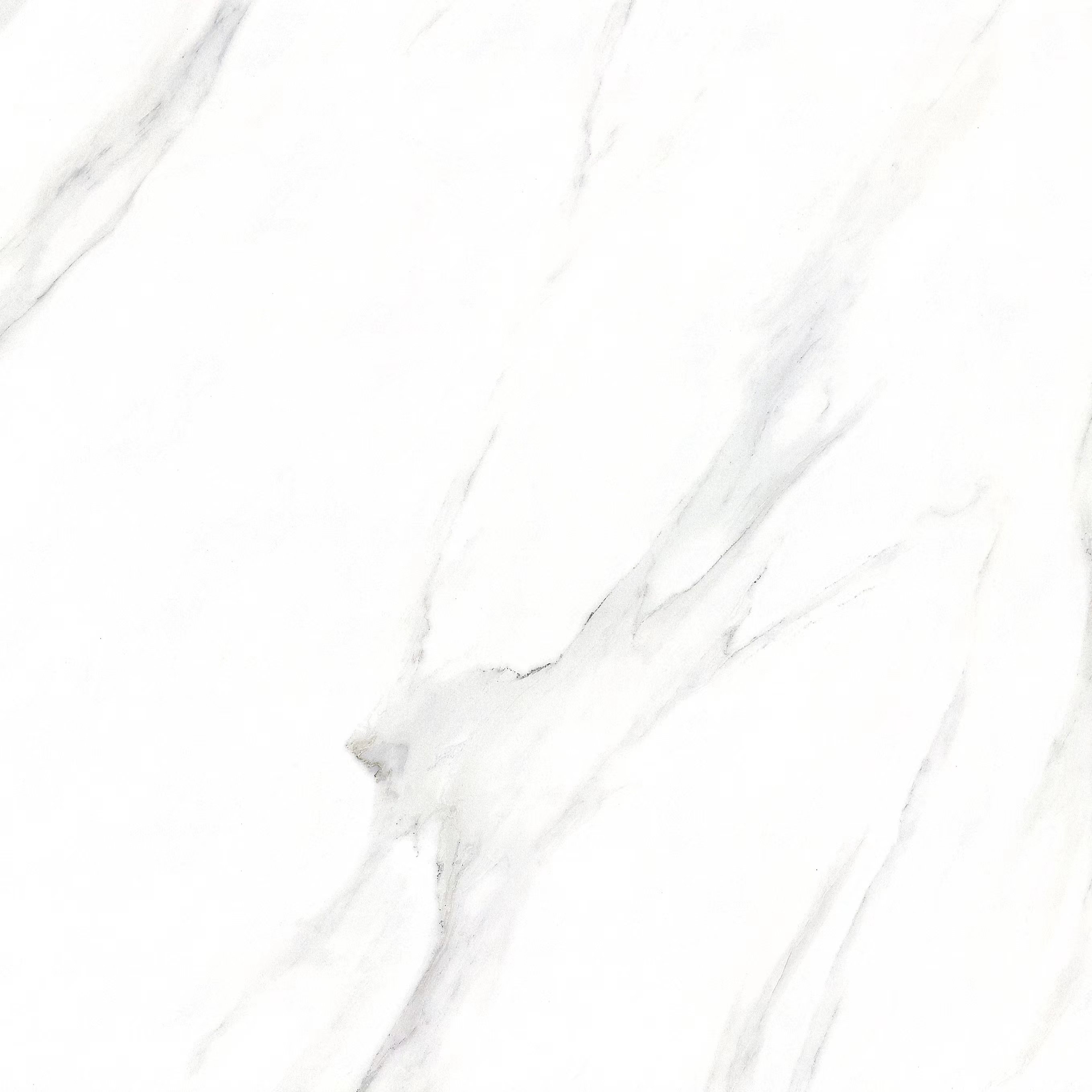 Изображение товара Керамогранит Sal Sapiente Art Stone PSA 6009 60x60 см белый с прожилками