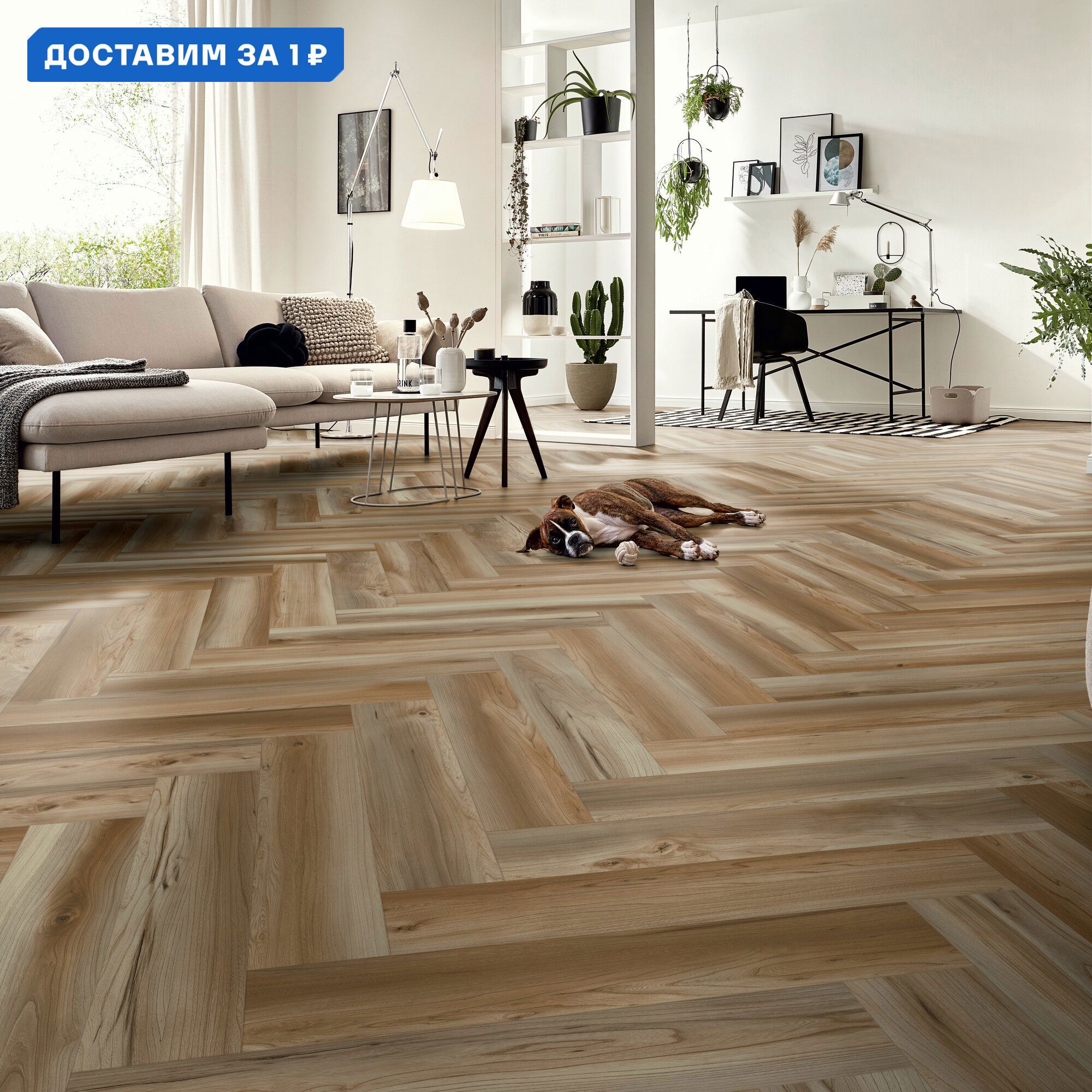 Изображение товара Ламинат Kronotex Вилосса натуральная A/B D50172 HB 32 класс толщина 8 мм с фаской 1.238 м², цена за упаковку