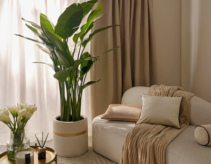 Оформление интерьера в неоклассическом стиле Оформление интерьера в неоклассическом стиле