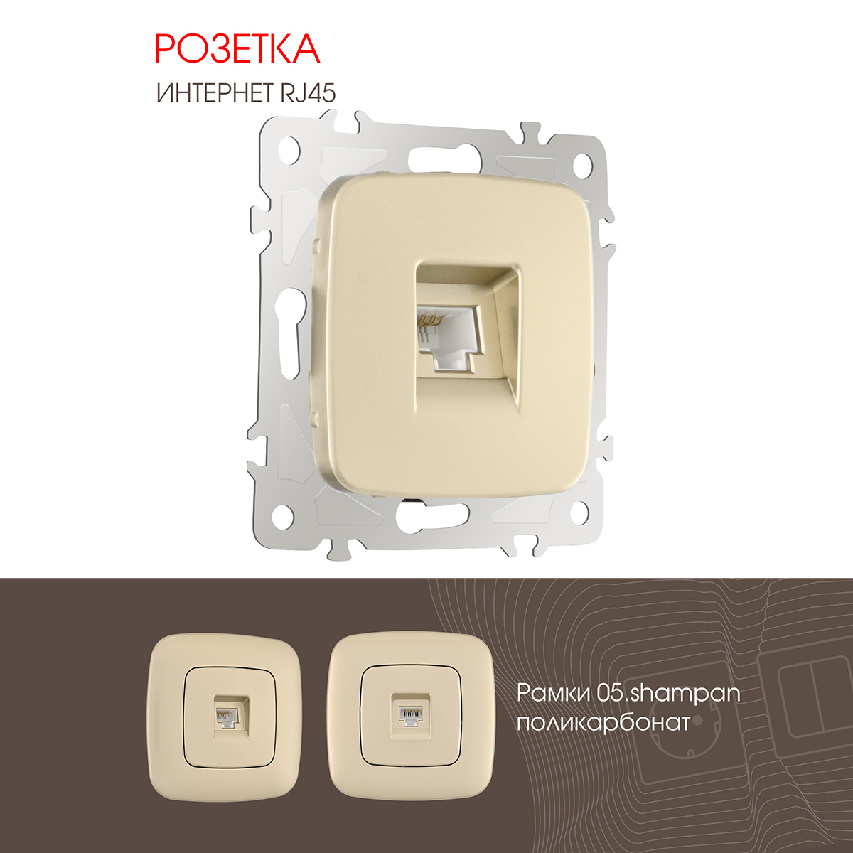 Изображение товара Arte milano 205.45-1.shampan встраиваемая розетка модульная тип C без заземления