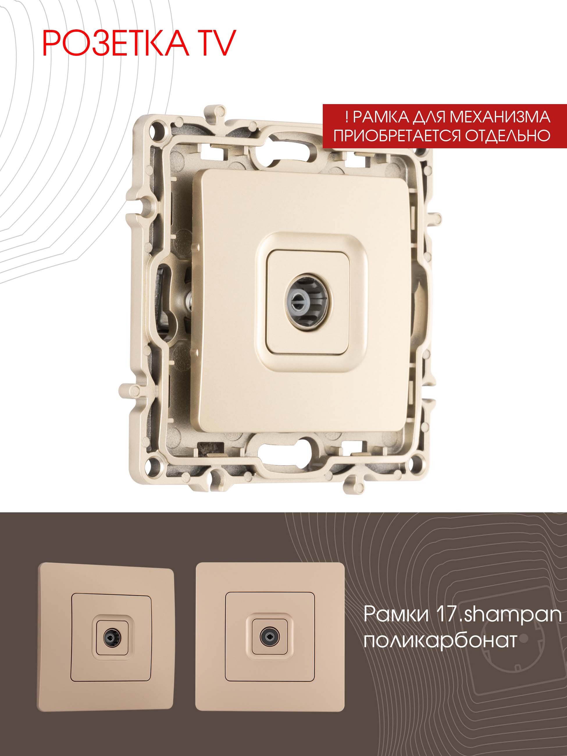 Изображение товара Arte Milano 217.43-1.shampan ТВ розетка встраиваемая боксы 1 пост без заземления