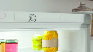 Холодильник двухкамерный Indesit ITR 4180 W 60x185x64 см цвет белый - 28
