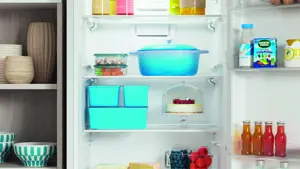 Холодильник двухкамерный Indesit ITR 4180 W 60x185x64 см цвет белый - 29