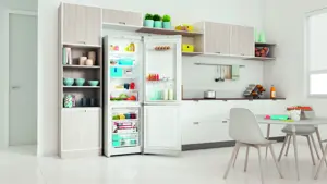 Холодильник двухкамерный Indesit ITR 4180 W 60x185x64 см цвет белый - 15