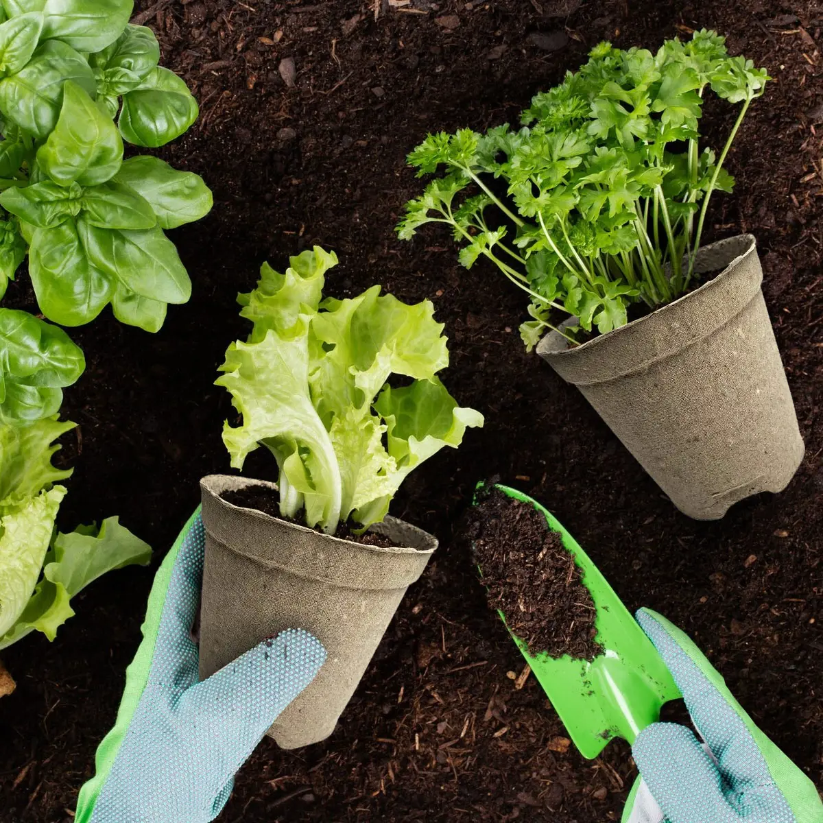 Горшки для рассады торфяной 10.5x10 см 20 шт - 5