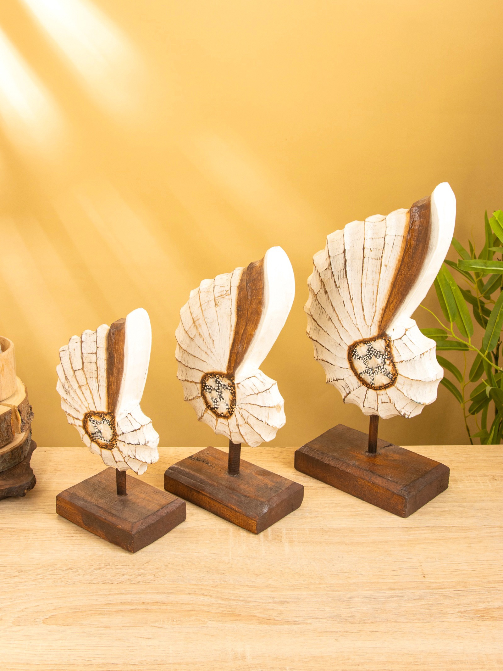 Изображение товара Декоративный предмет Сима-ленд Раковины цвет бежевый