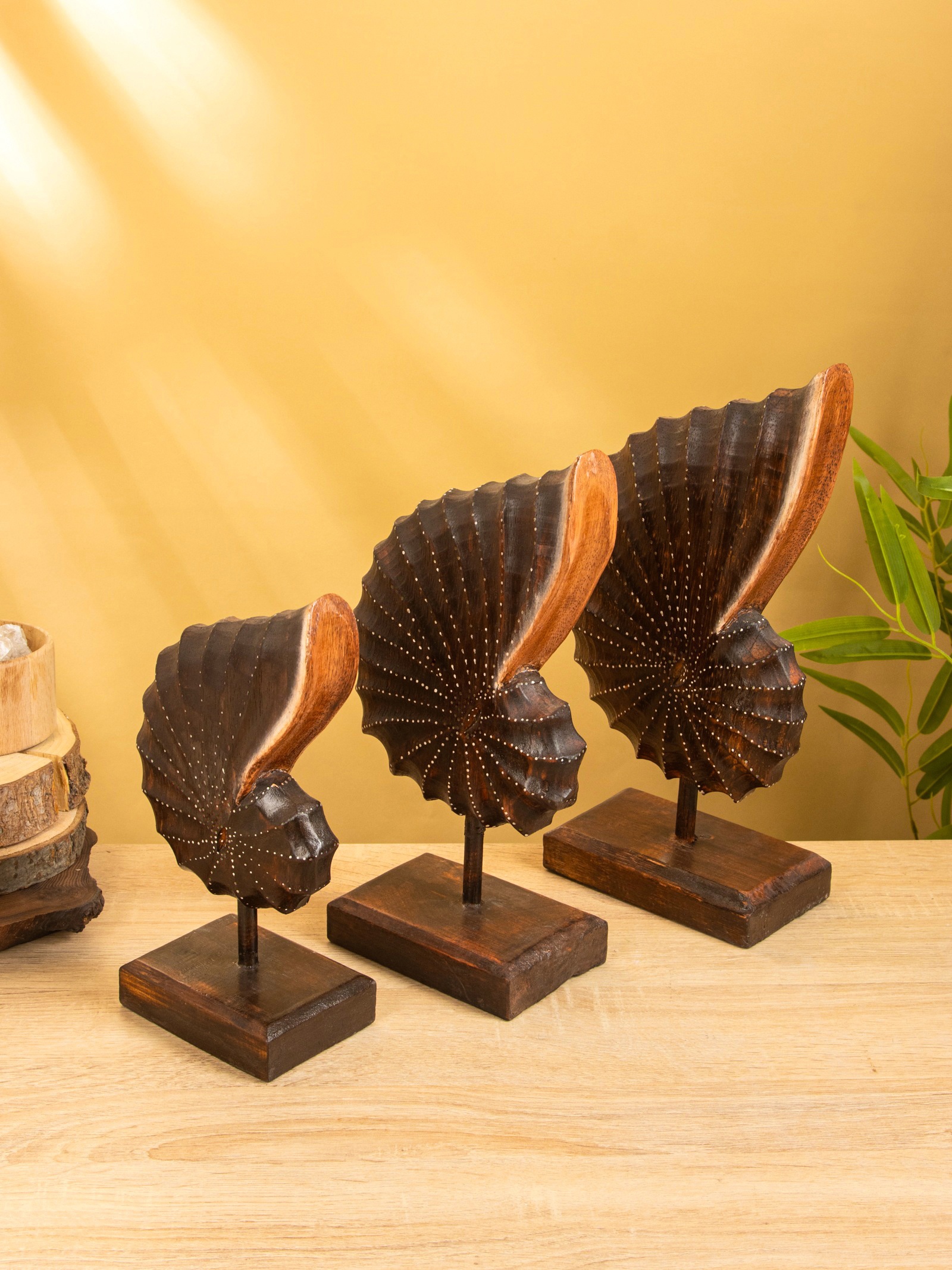Изображение товара Декоративные раковины СИМА-ЛЕНД из дерева, коричневые, набор