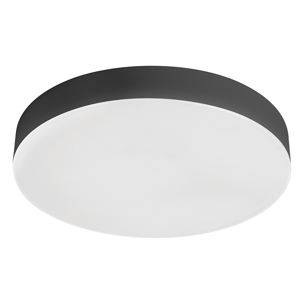 Изображение товара Настенно-потолочный светодиодный светильник Feron 51910 12W IP44 Черный для дома и офиса