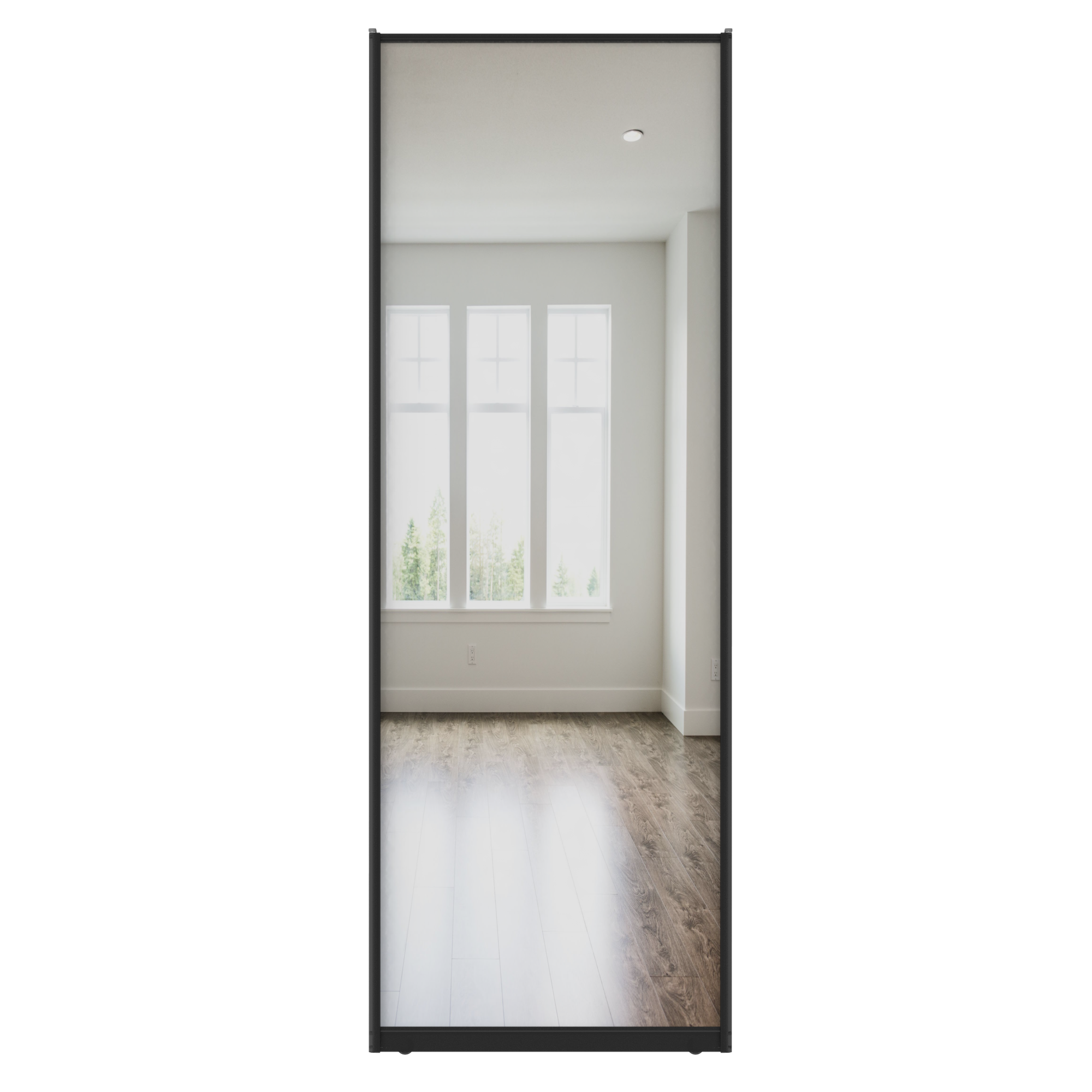 Дверь-купе 225.5x80.4 см зеркало цвет черный