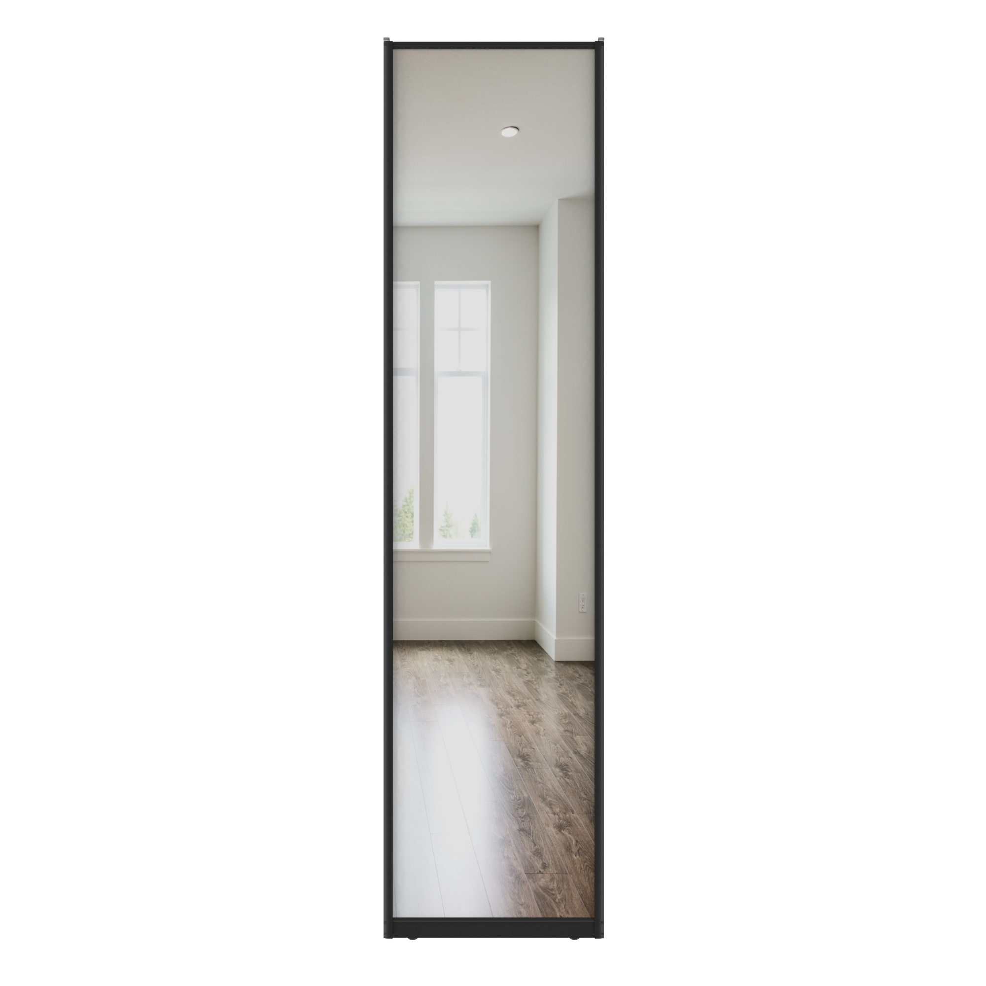 Дверь-купе 245.5x60.4 см зеркало цвет черный