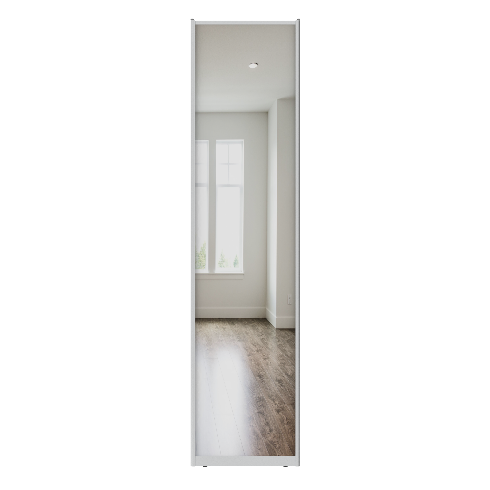 Дверь-купе 245.5x60.4 см зеркало цвет серебристый