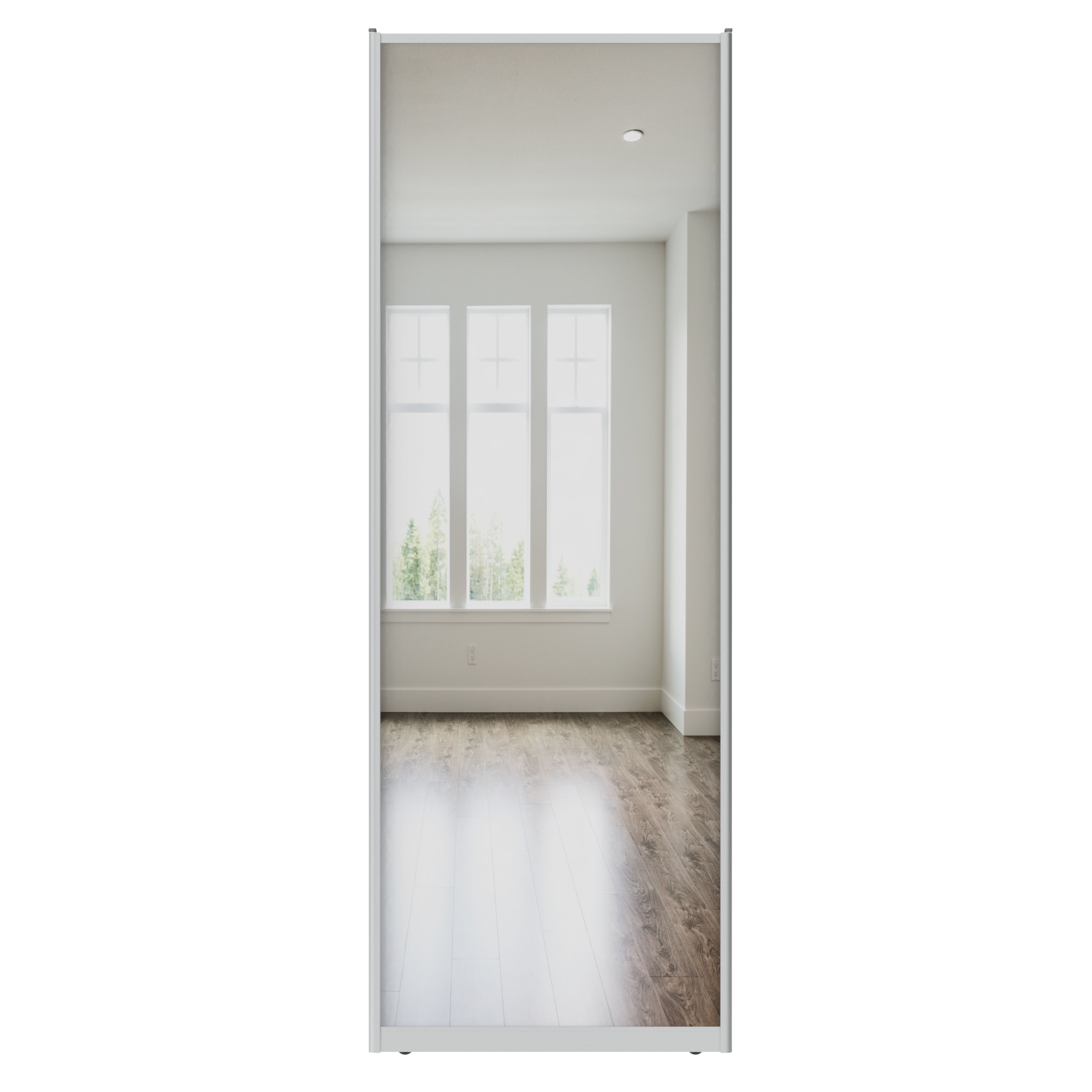 Дверь-купе 225.5x80.4 см зеркало цвет серебристый