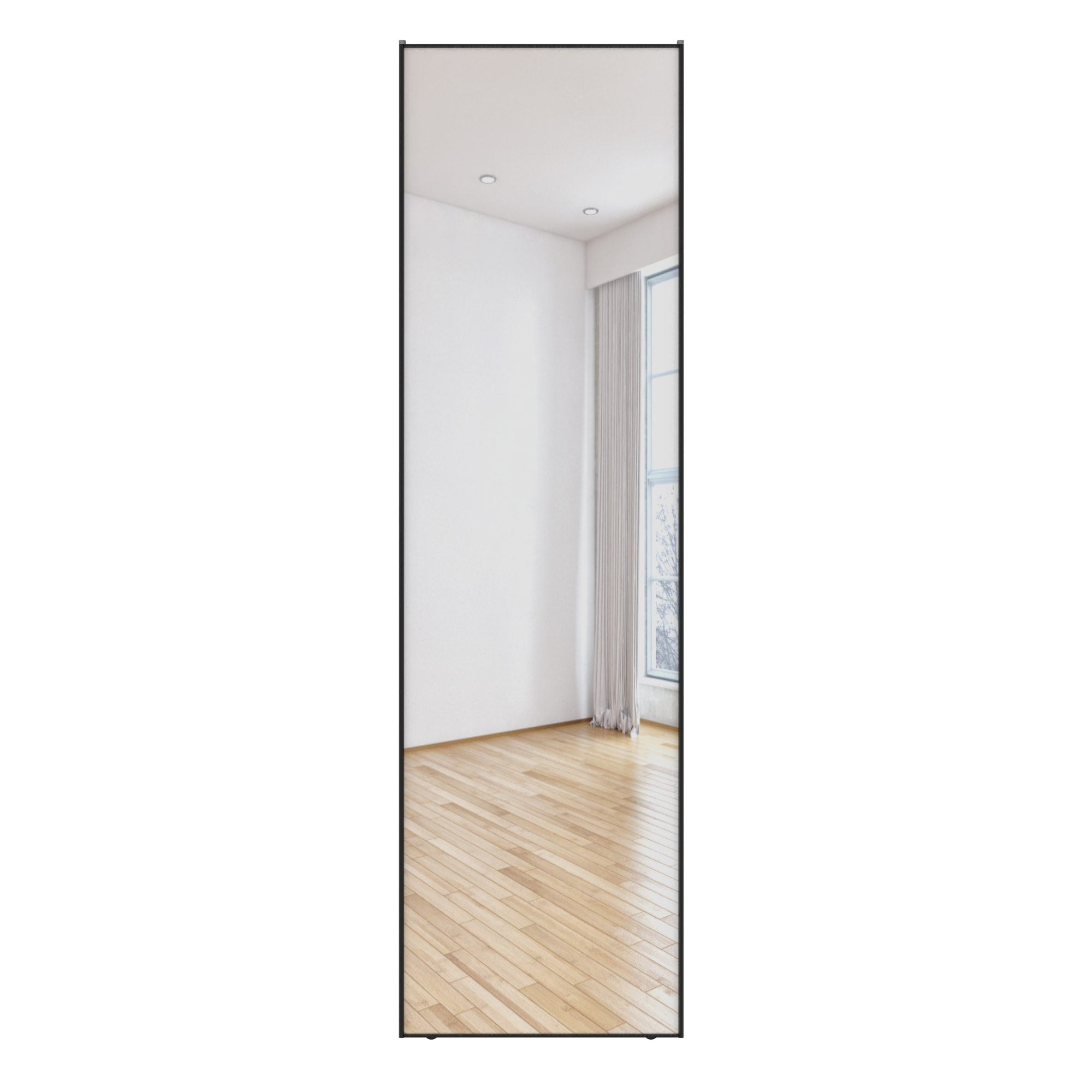 Дверь-купе 245.5x70.4 см зеркало узкая цвет черный