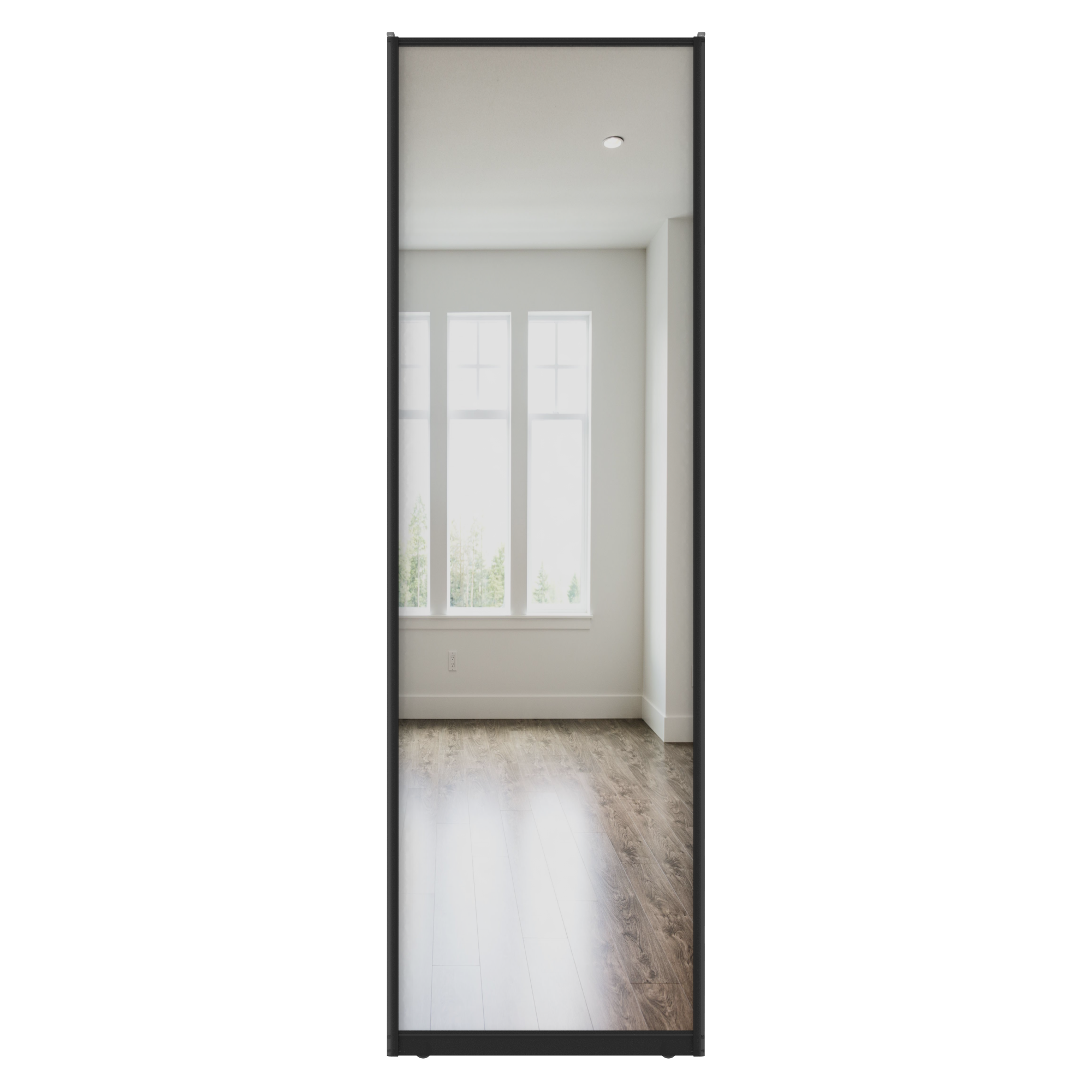 Дверь-купе 225.5x70.4 см зеркало цвет черный