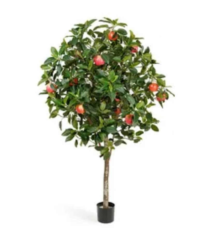 Изображение товара Камелия ø20 h120 см