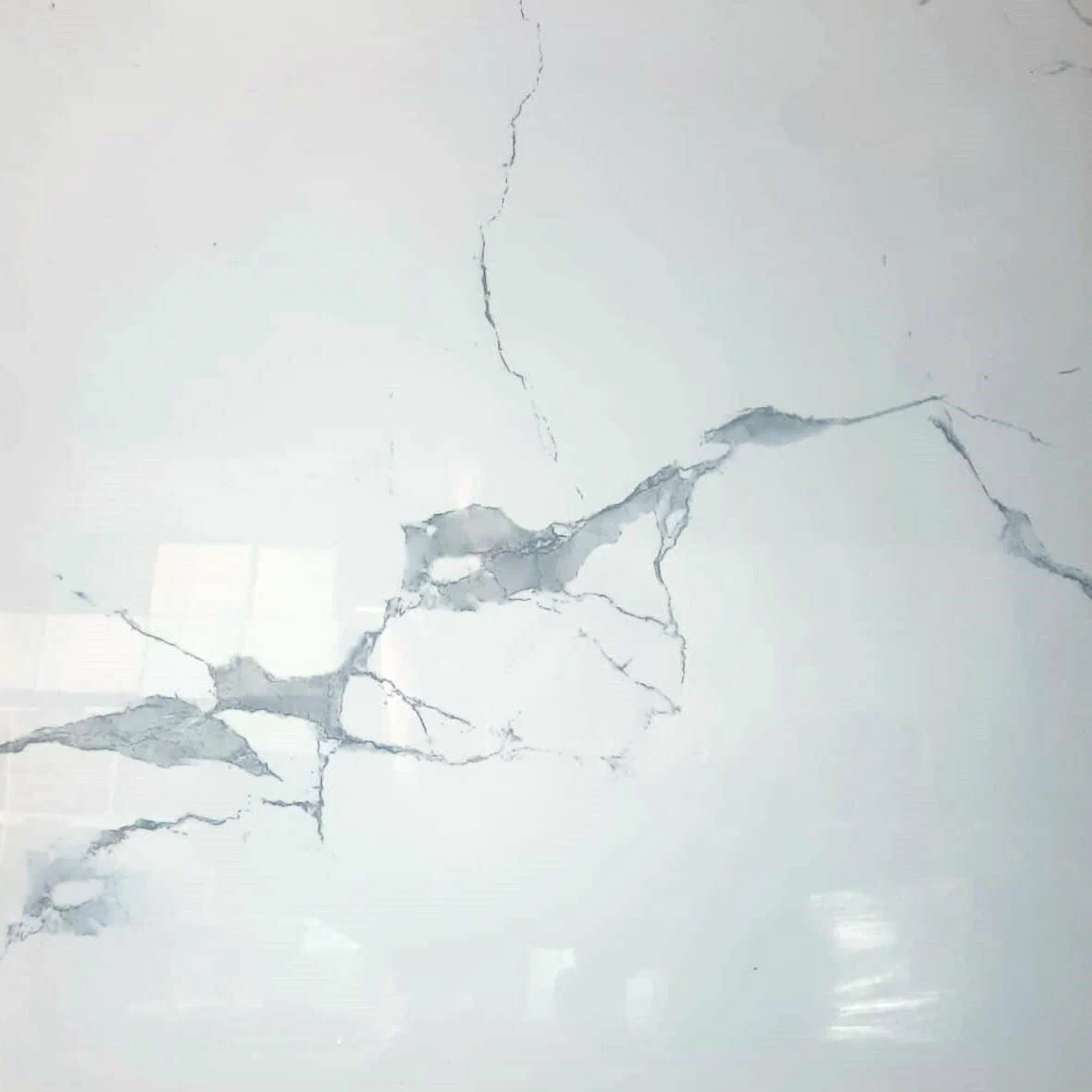 Изображение товара Керамогранит Meili Ceramicа Statuario SATUARIO SMOKE 60x60см цвет белый, серый