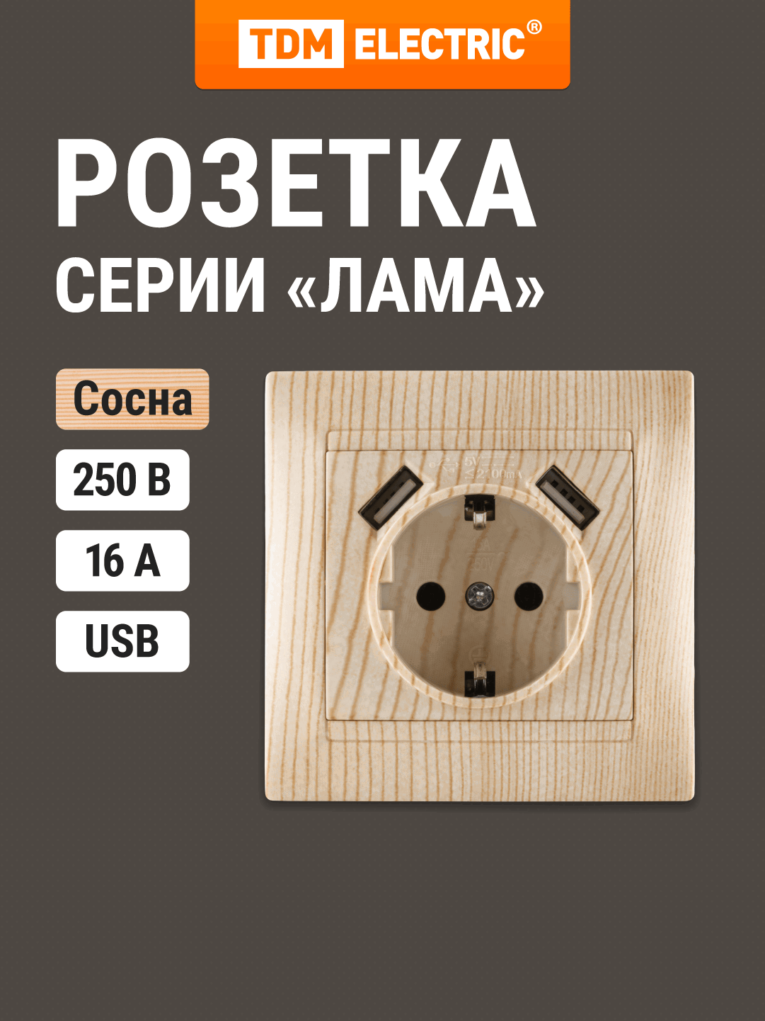 Изображение товара Встраиваемая розетка Tdm electric Лама с заземлением и USB для дома и офиса