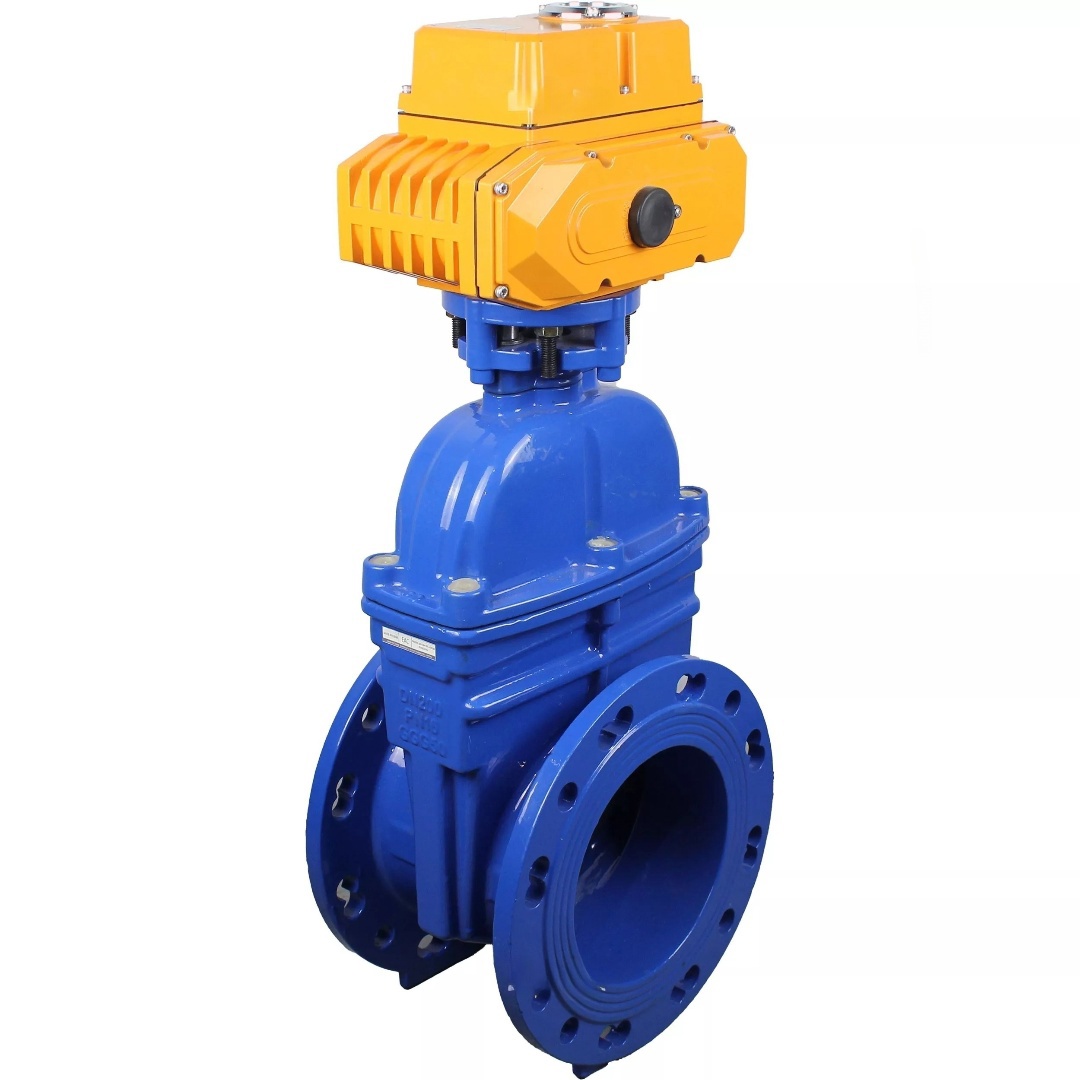 Изображение товара Задвижка DN65 с электроприводом DN.RU D040-09295, 380В, чугун