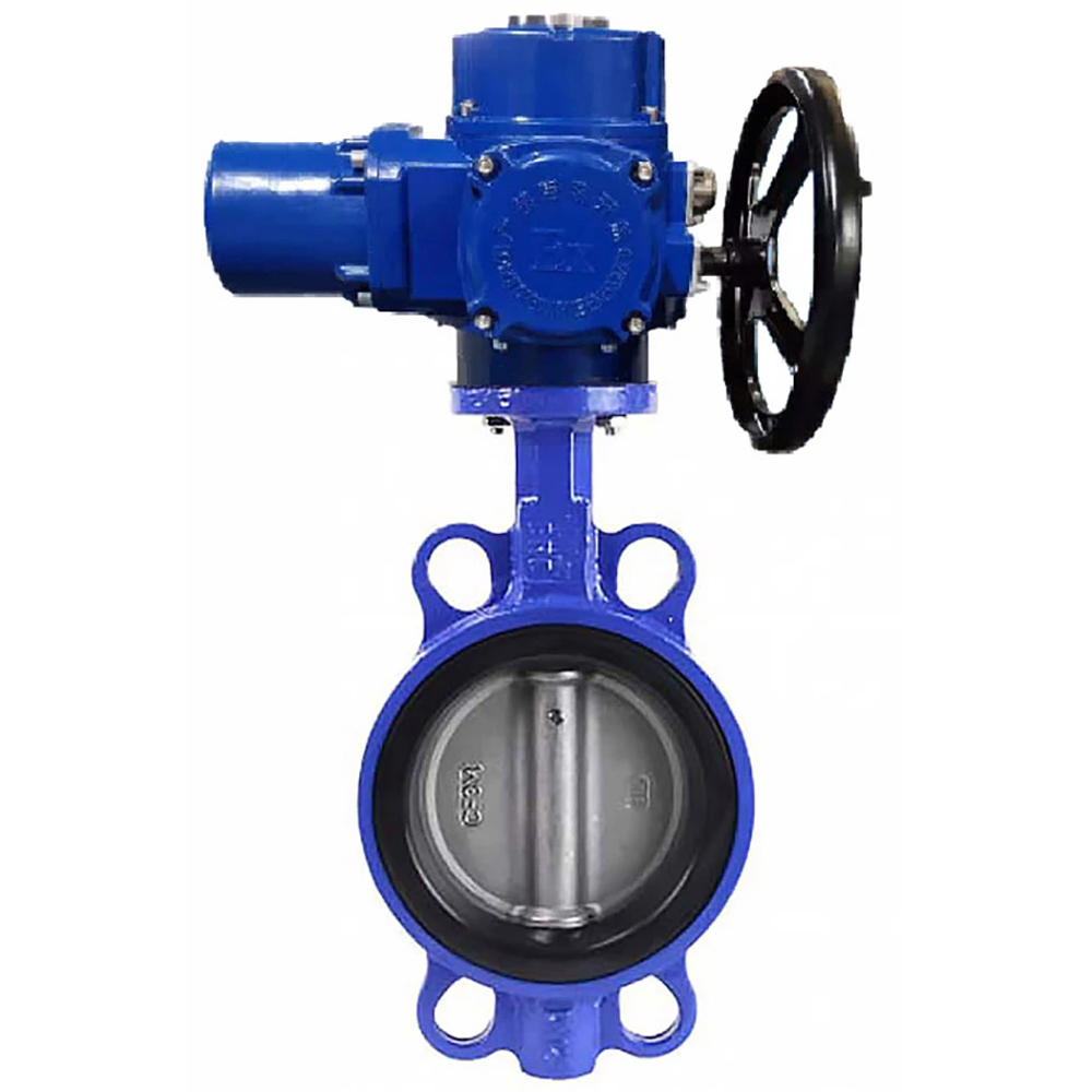 Изображение товара Затвор дисковый поворотный Dn.ru D050-12456 DN65 PN16 с электроприводом 220В чугун