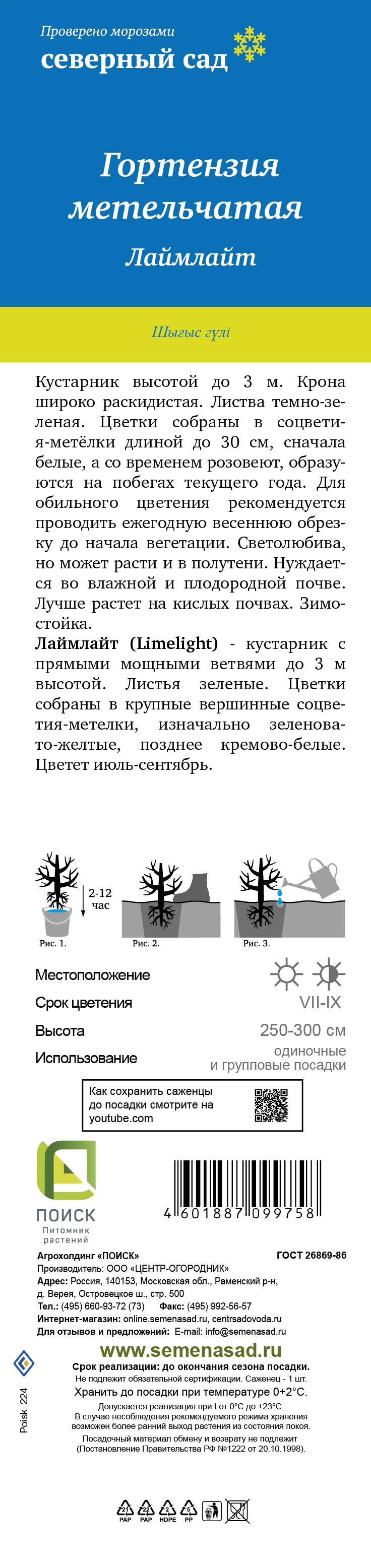 Изображение товара Гортензия метельчатая Лаймлайт ø5 h37 см