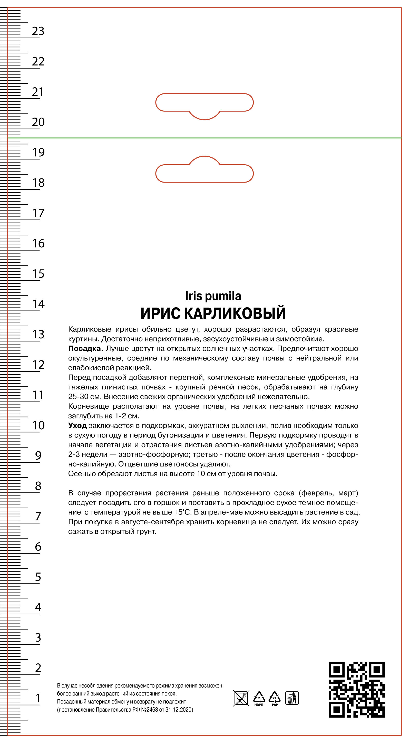Изображение товара Ирис карликовый Вест Стар