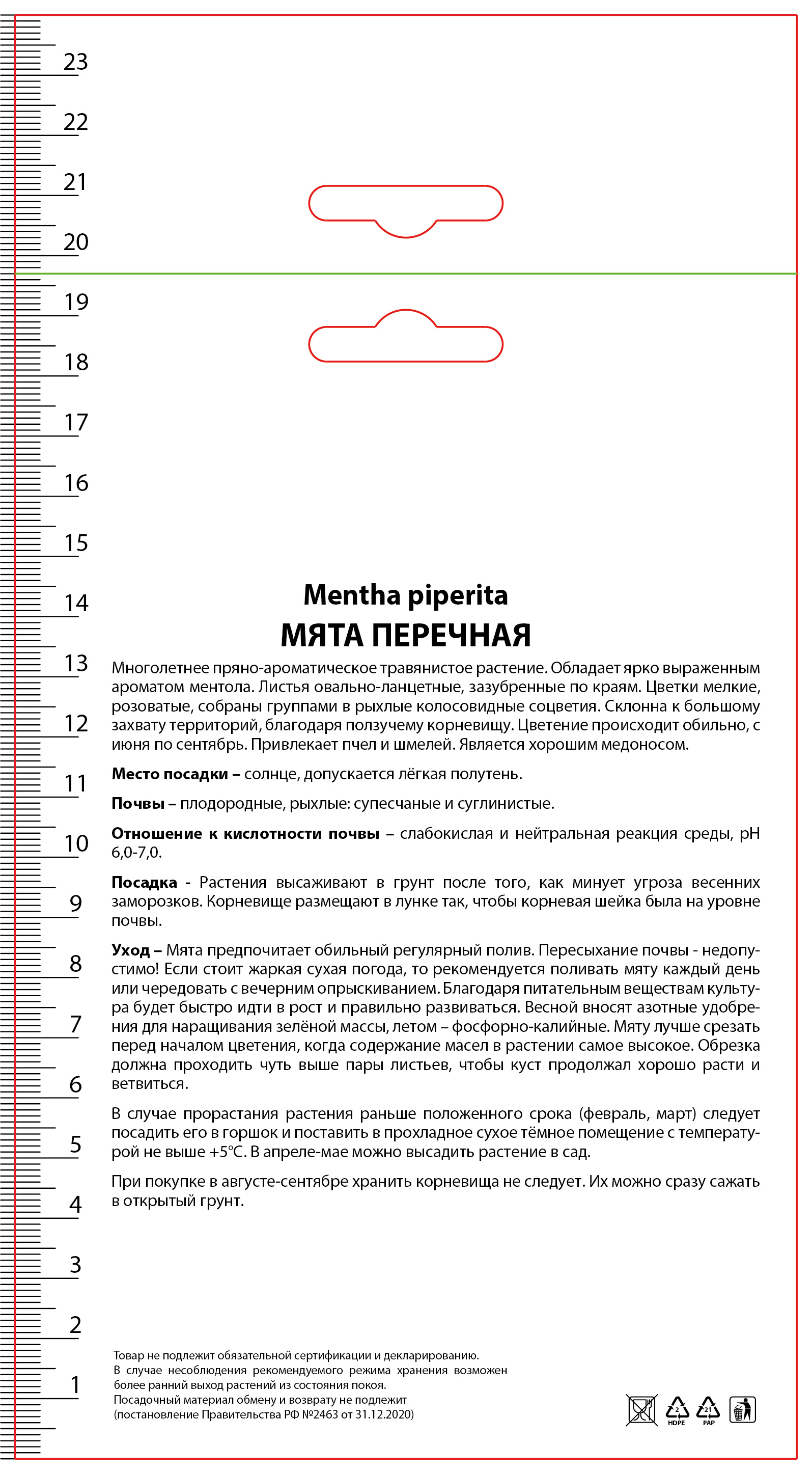 Изображение товара Мята Ландыш