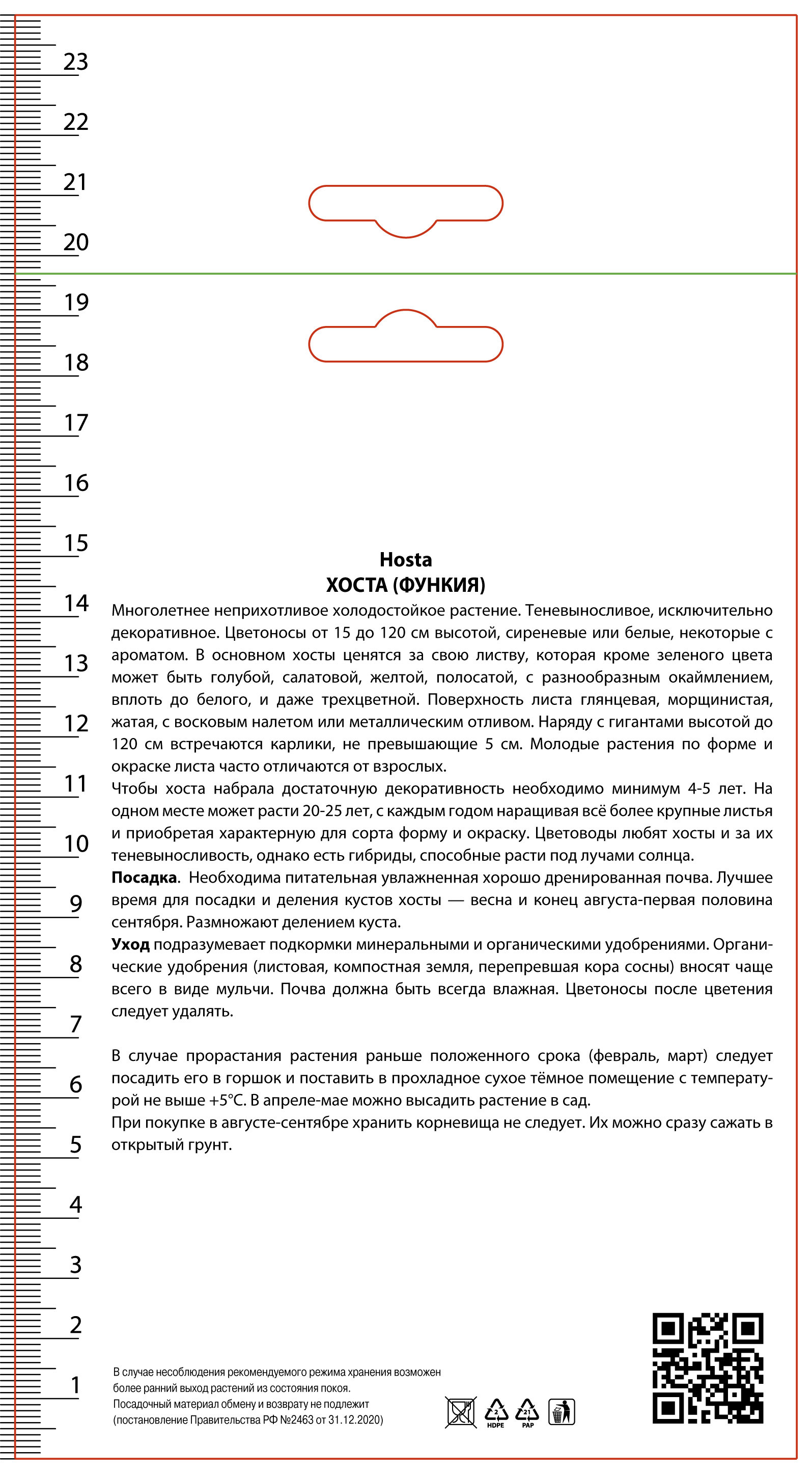 Изображение товара Хоста гибридная Пьедмонт Голд Изображение товара Хоста гибридная Пьедмонт Голд