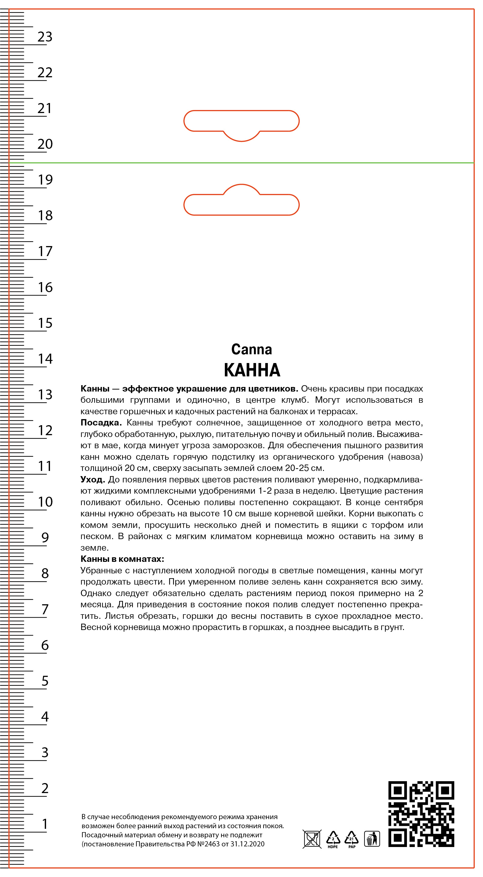 Изображение товара Канна зеленолистная ПОИСК Ричард Уоллес для вашего сада
