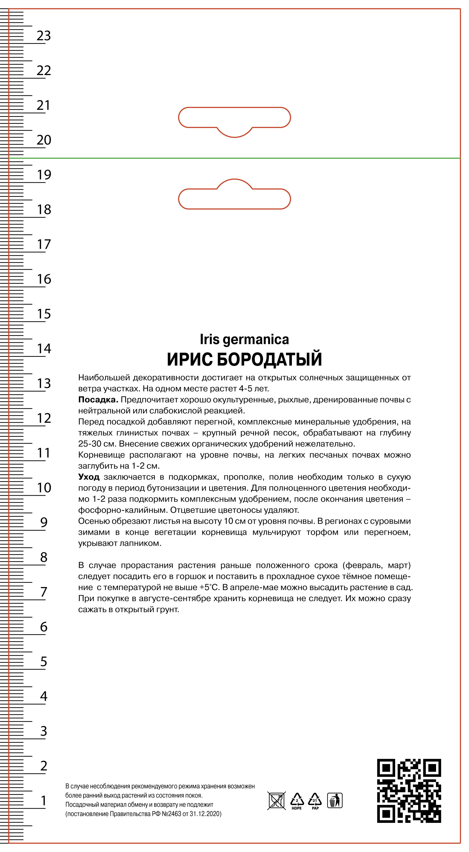 Изображение товара Ирис бородатый Блашинг Пинк - яркое многолетнее цветущее растение для сада Изображение товара Ирис бородатый Блашинг Пинк - яркое многолетнее цветущее растение для сада