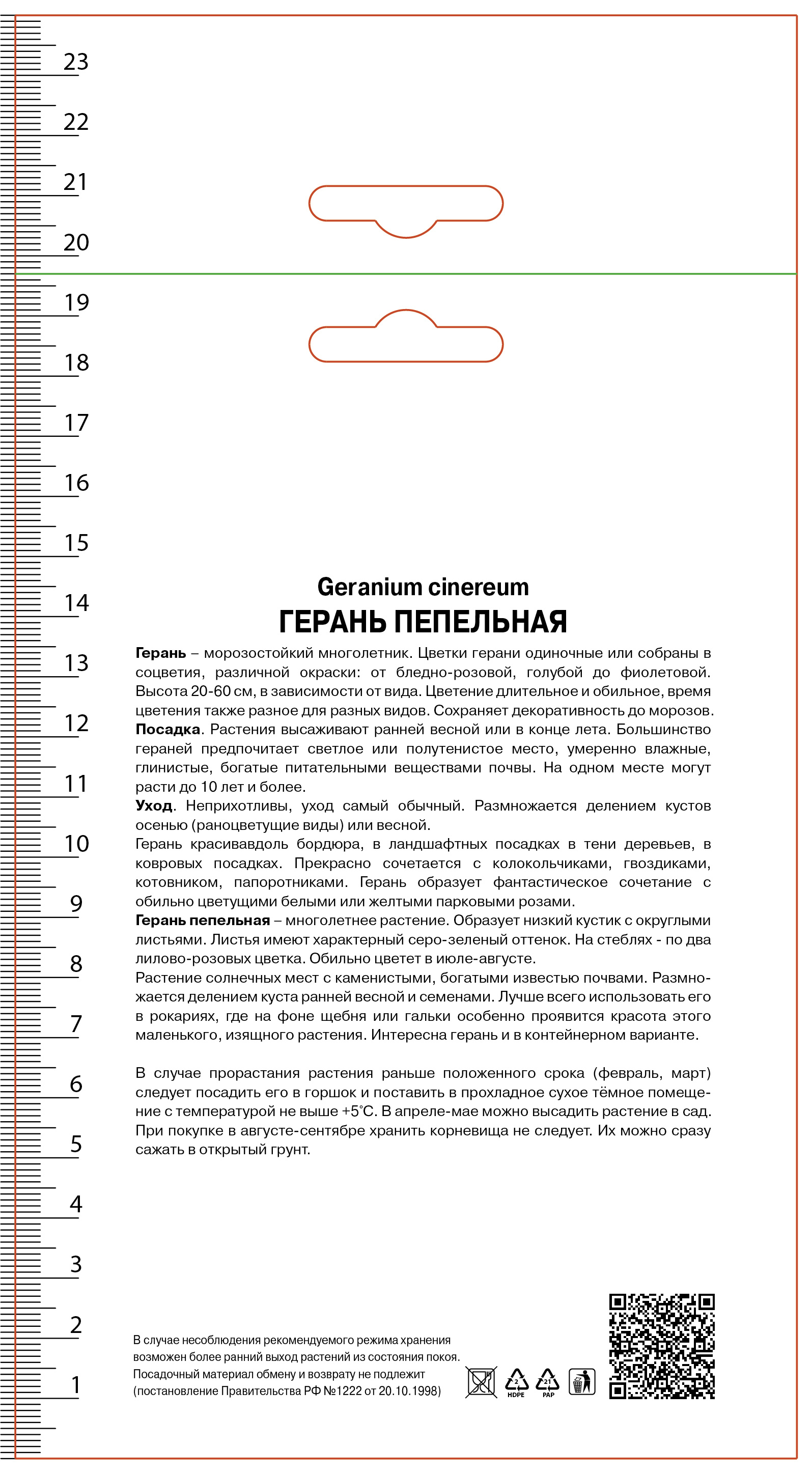 Изображение товара Герань пепельная Балерина Изображение товара Герань пепельная Балерина