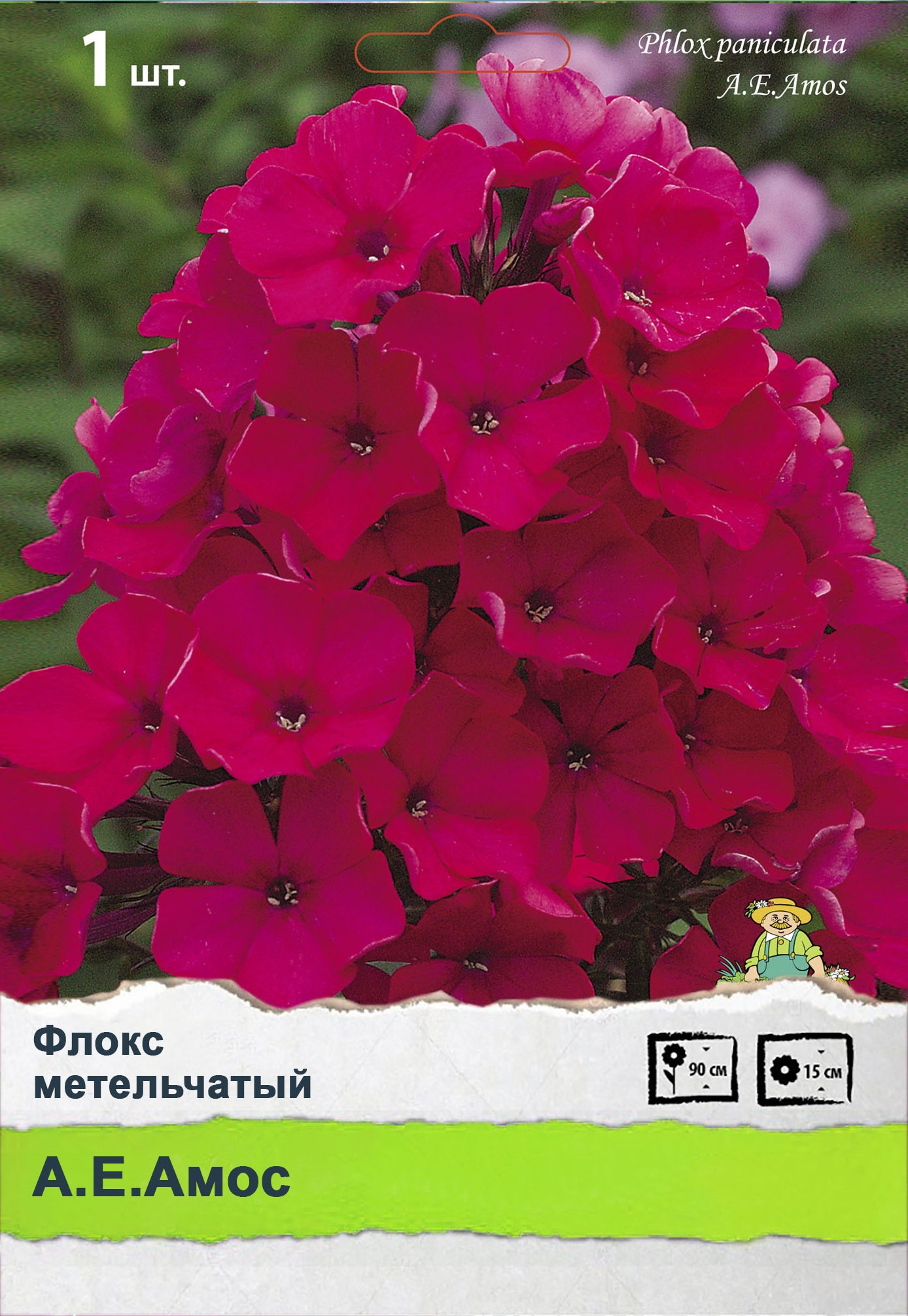 Изображение товара Флокс метельчатый
