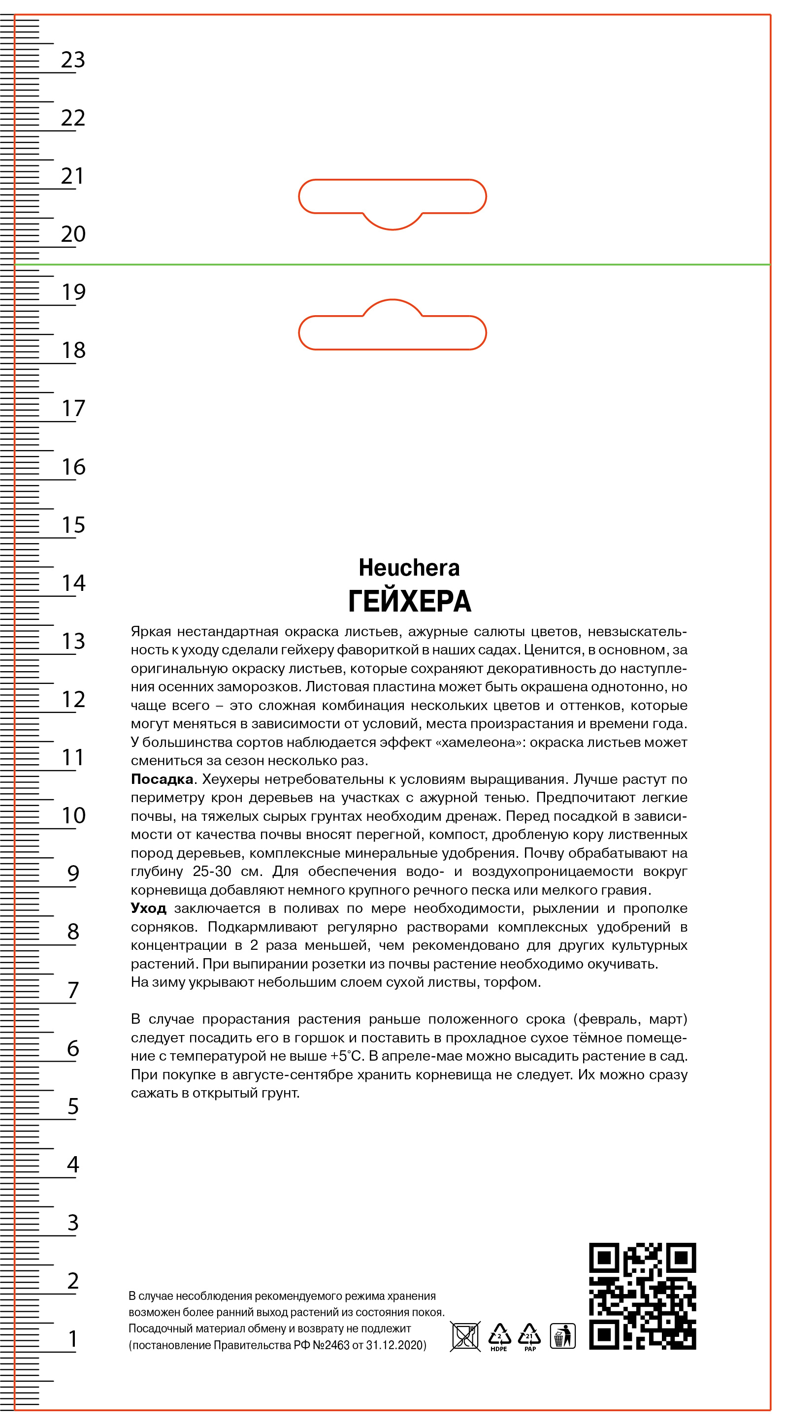 Изображение товара Гейхера гибридная Капучино