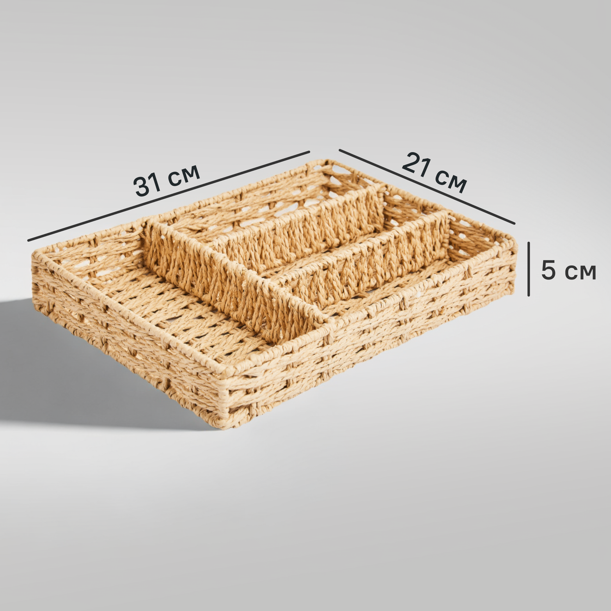 Изображение товара Органайзер для хранения 31x21x5 см Бежевый SPACEO Куб для дома и офиса