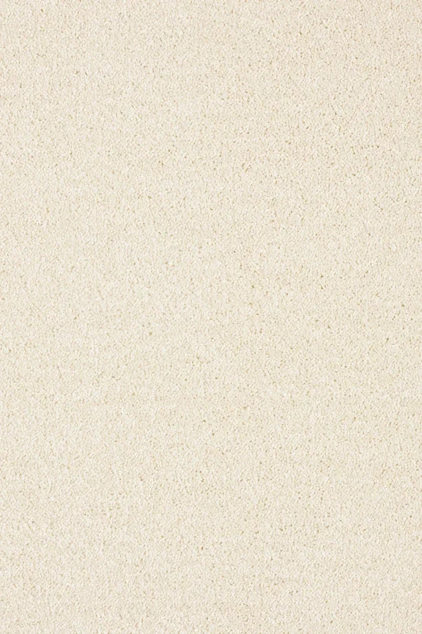 Изображение товара Ковровое покрытие Parana 03 4м бежевое для жилых помещений