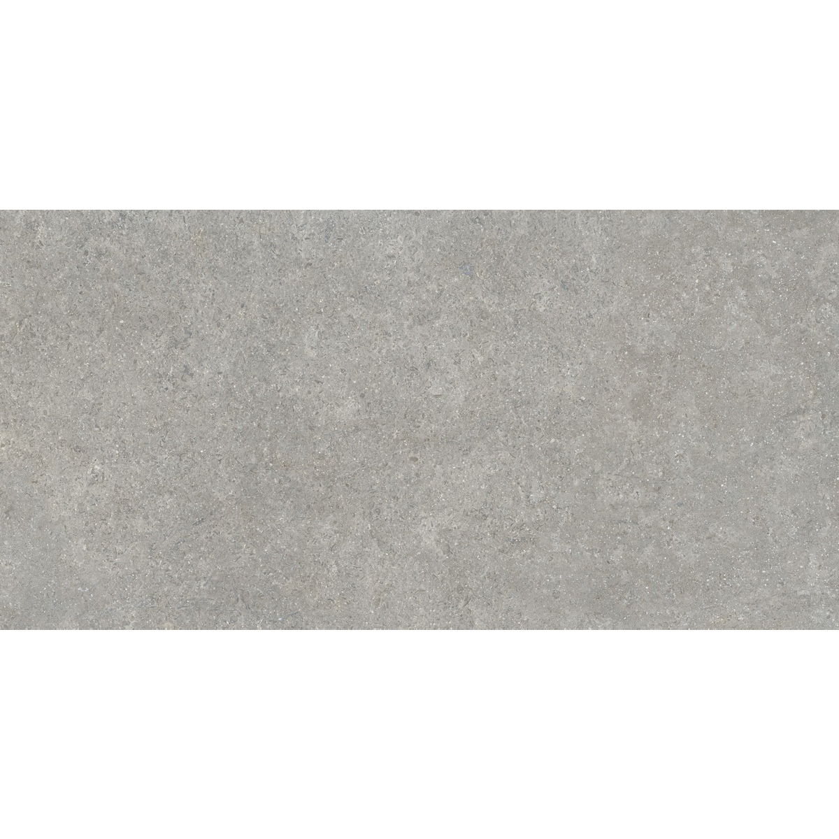 Изображение товара Керамогранит Vitra Sandstone K948634R0001VTER 60x120 см серый/серебристый